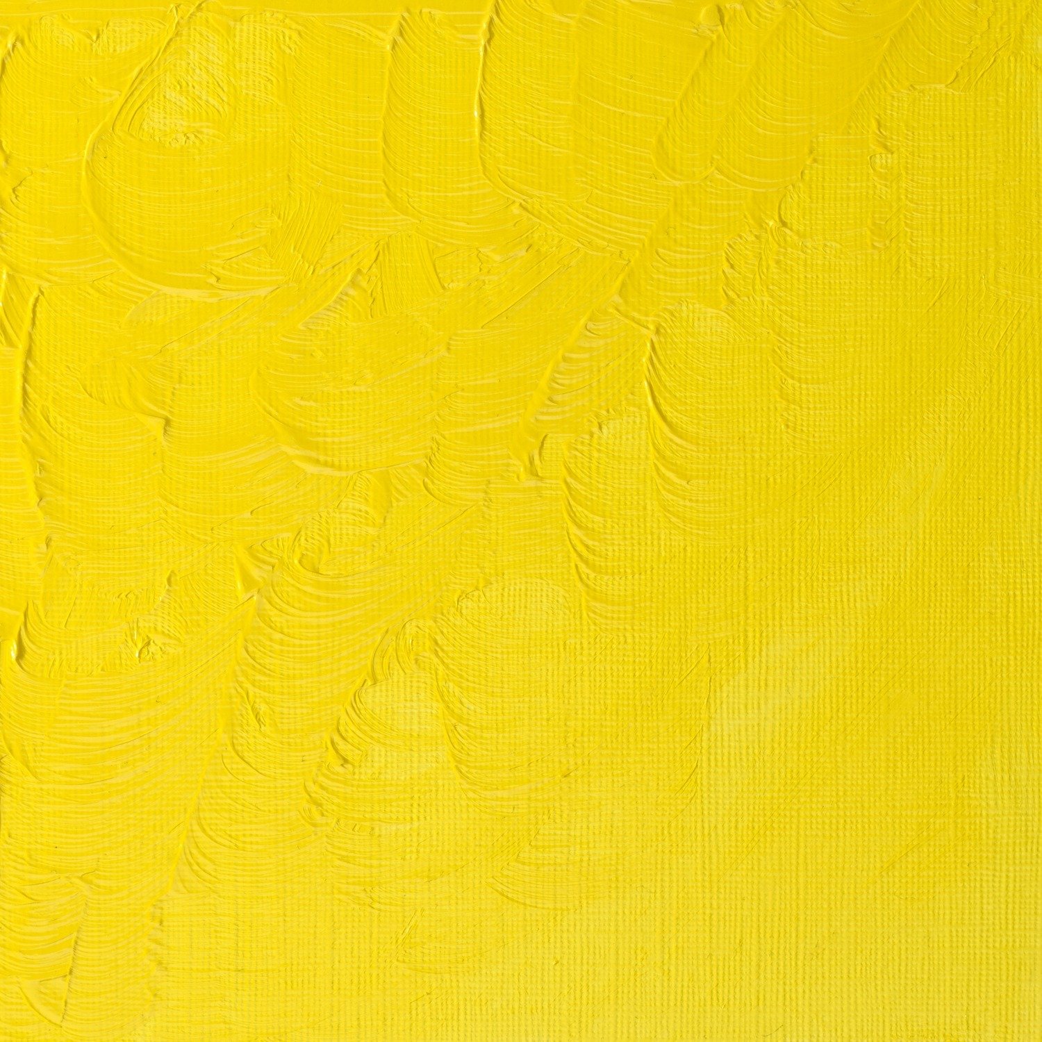 Winsor and Newton 37ml Winton Oil Colours - Lemon yellow hue Image 2