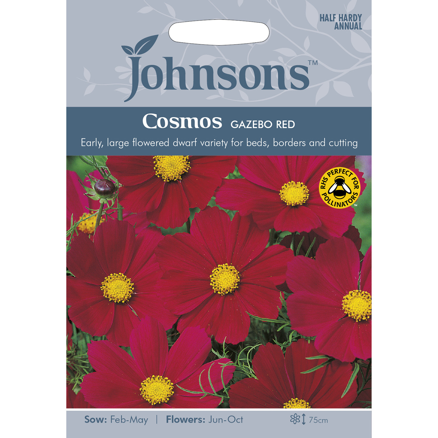 Johnsons Cosmos Gazebo Red Flower Seeds Image 2