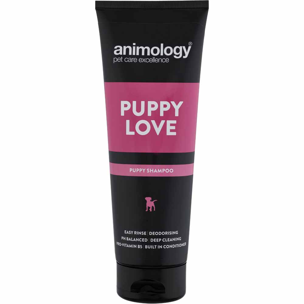 Animology Puppy Love Dog Shampoo 250ml Image 1