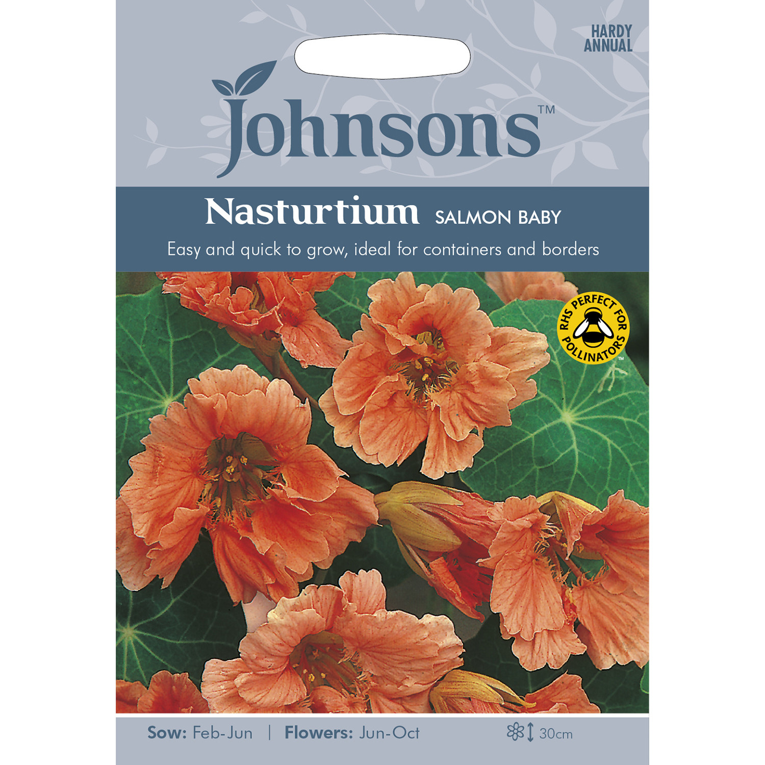 Johnsons Nasturtium Salmon Baby Flower Seeds Image 2