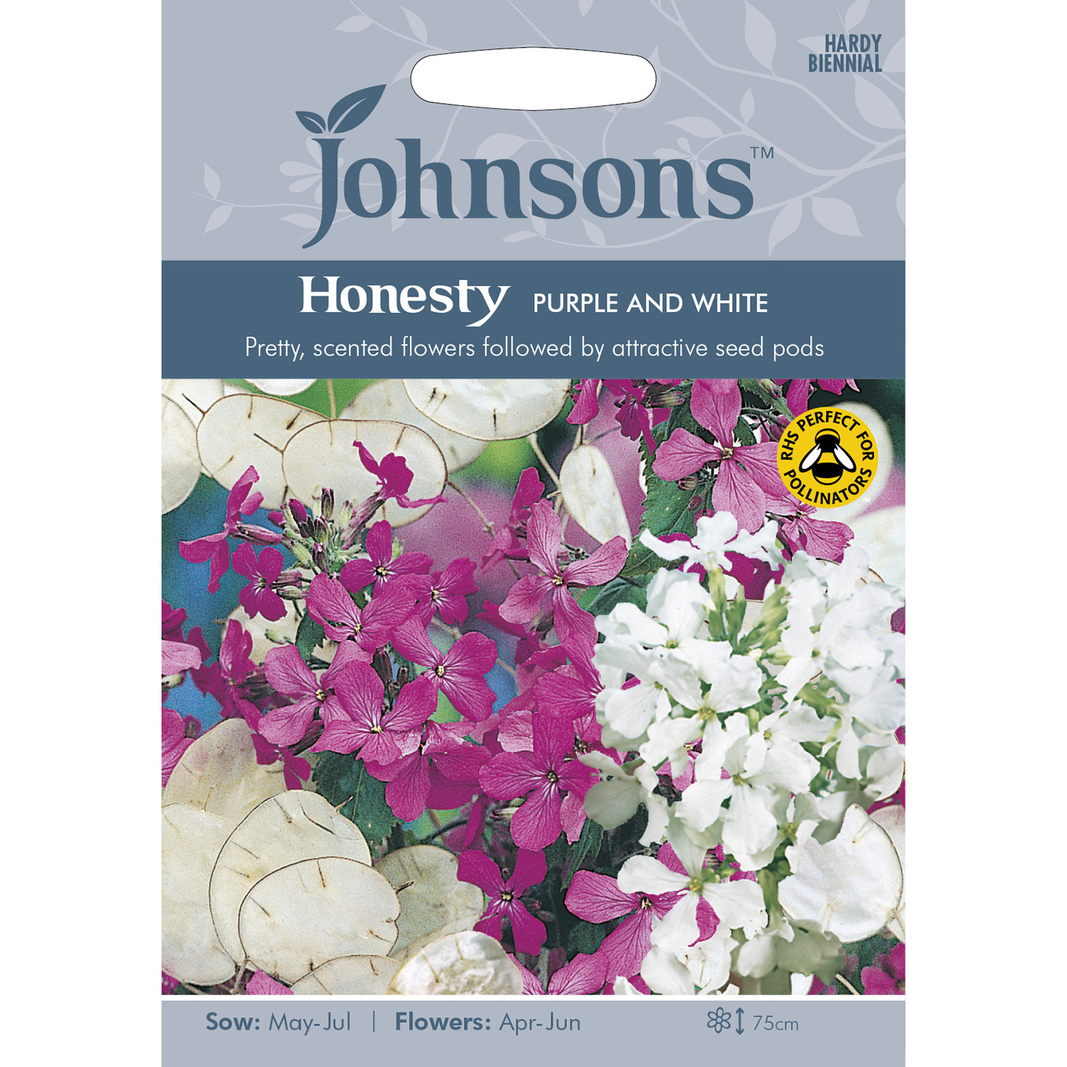 Johnsons Honesty Purple and White Flower Seeds Image 2
