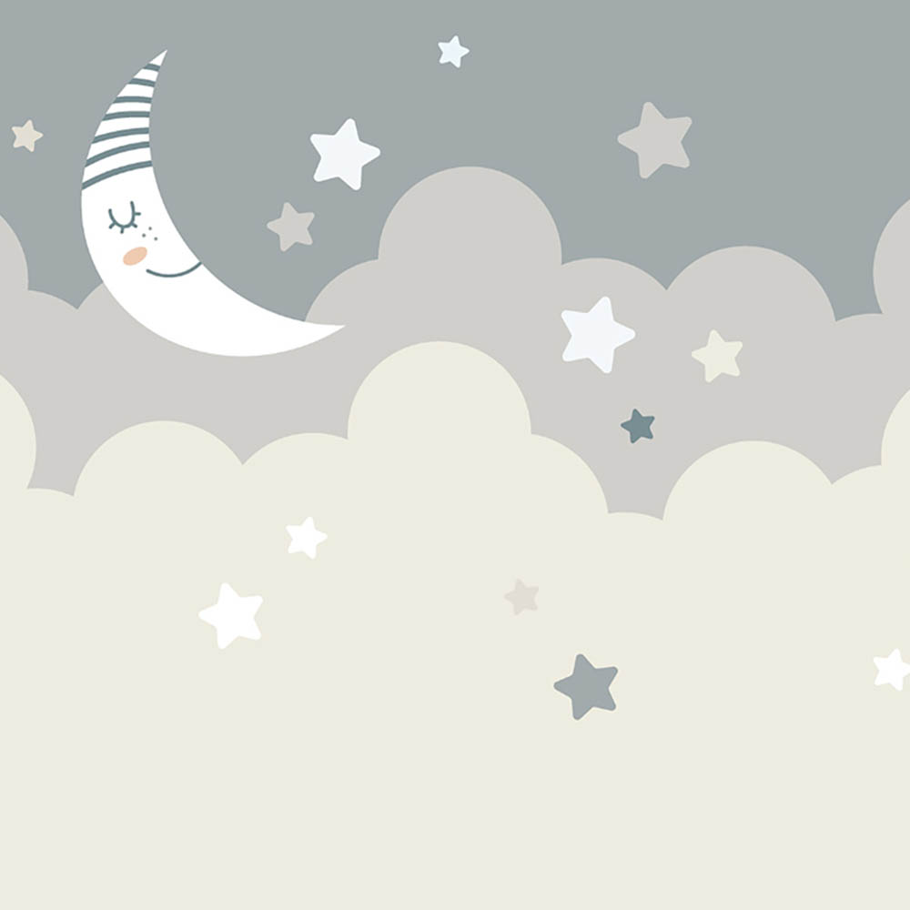 Origin Murals Nighttime Children's Sky Grey Wall Mural Image 2