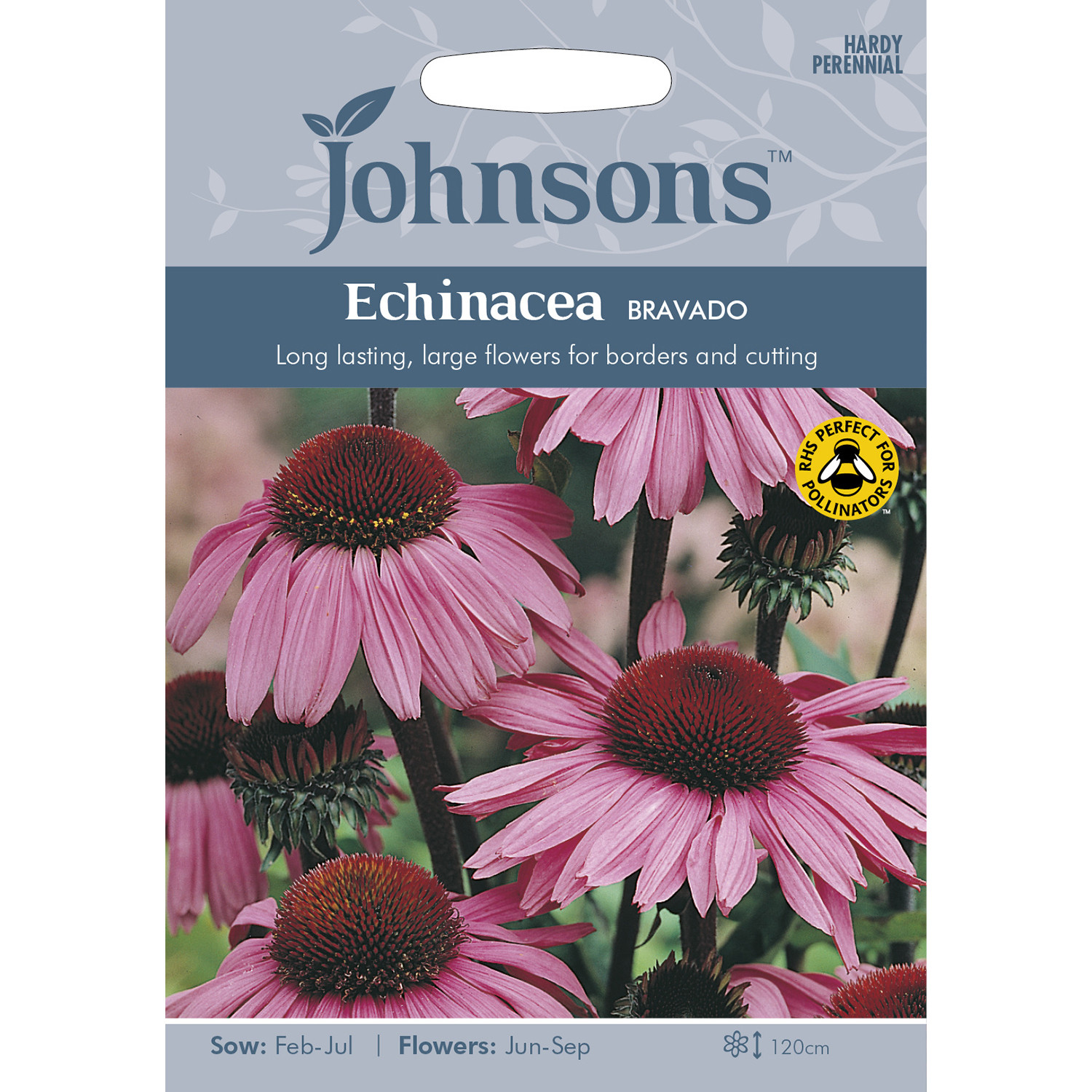Johnsons Echinacea Bravado Flower Seeds Image 2