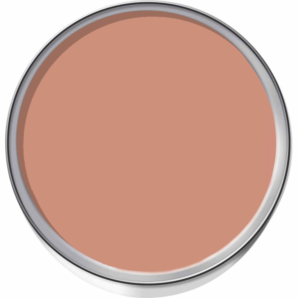 Dulux Walls and Ceilings Copper Blush Silk Emulsion Paint 2.5L Image 3