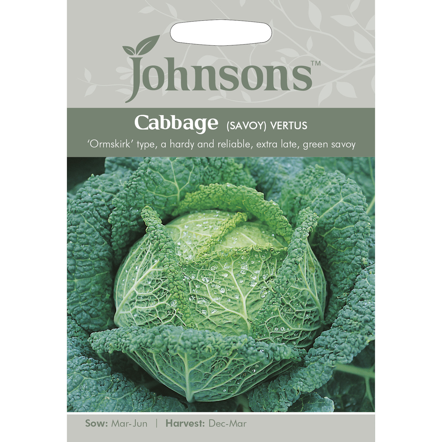 Johnsons Savoy Vertus Cabbage Seeds Image 2