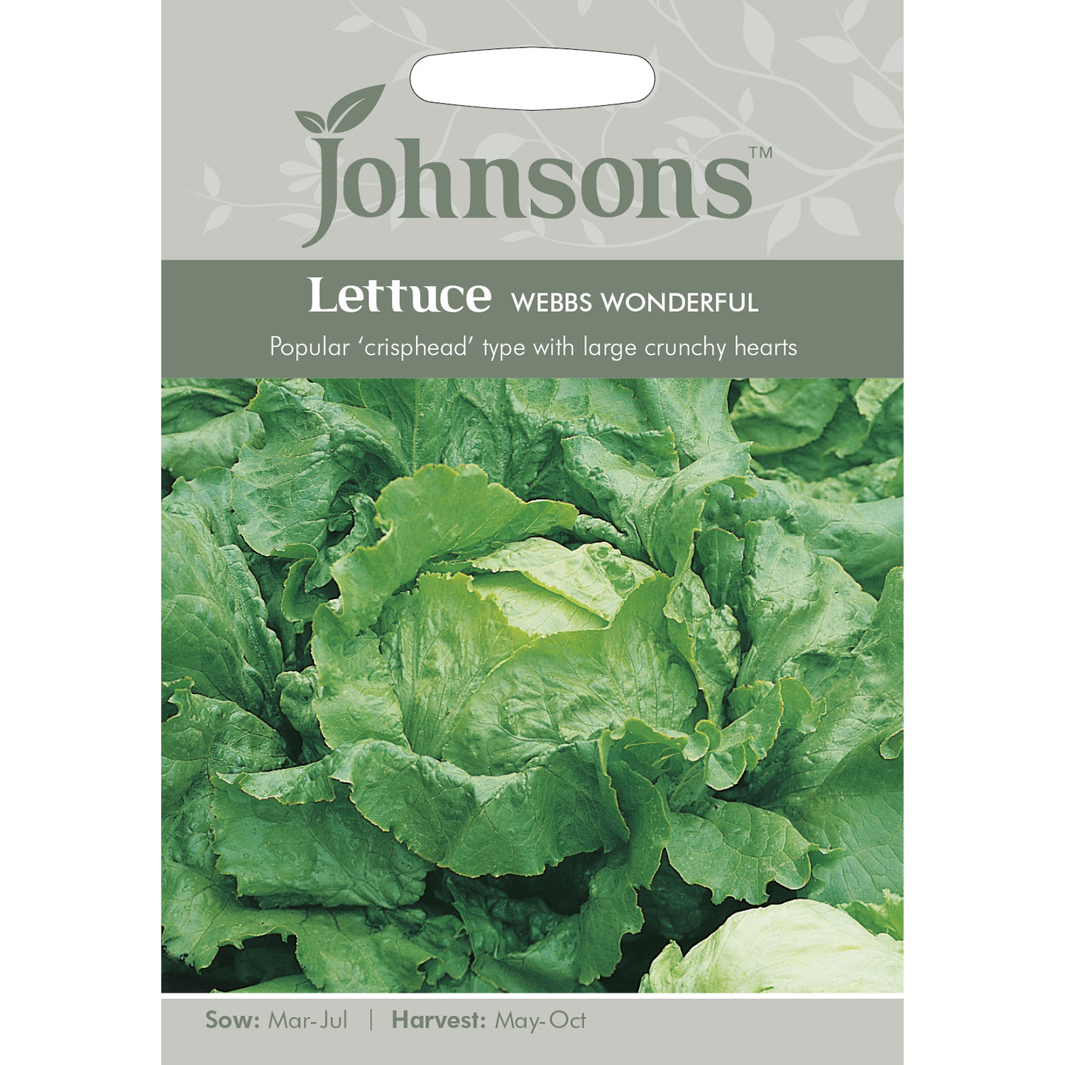 Johnsons Webbs Wonderful Lettuce Seeds Image 2