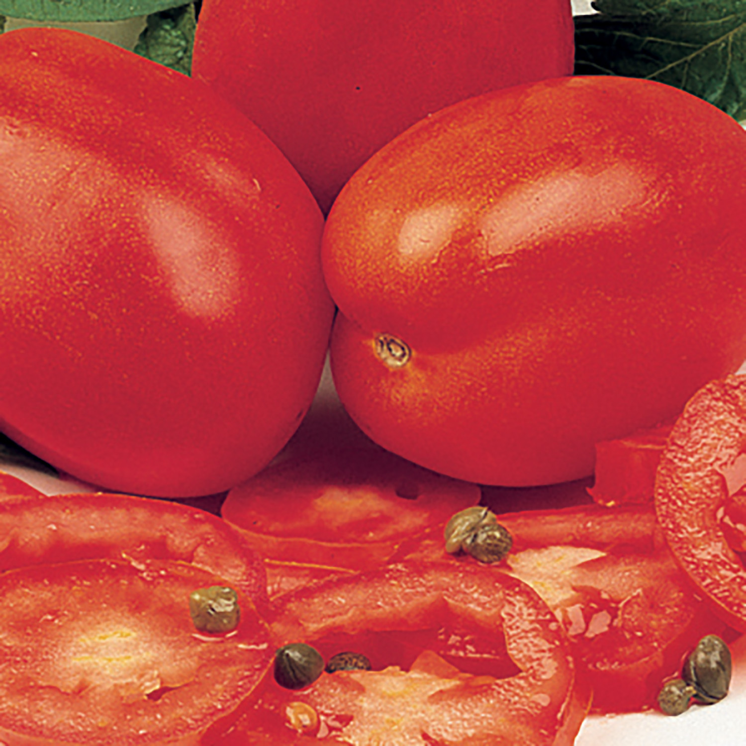 Tomato Roma Seed Packet  - Red Image 2