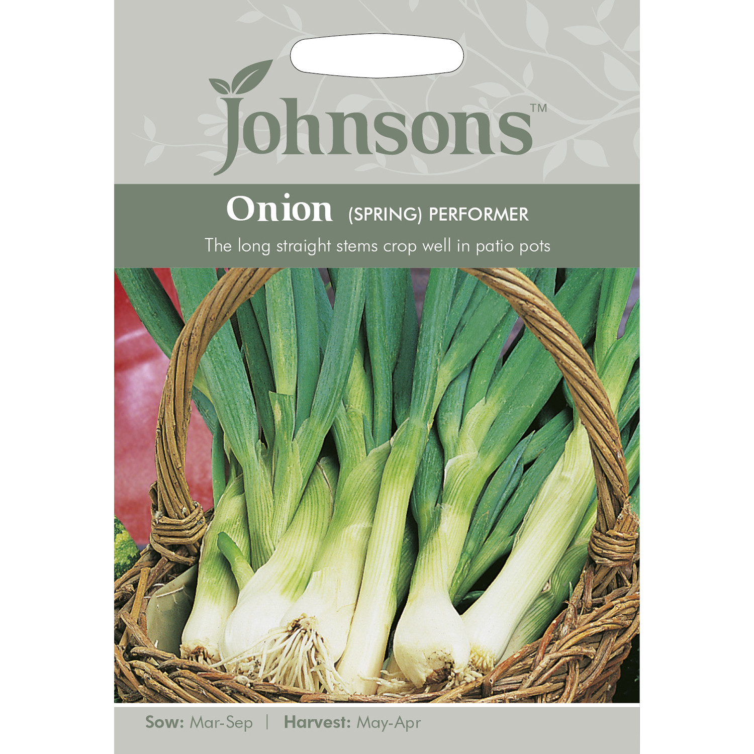 Johnsons Performer Spring Onion Seeds Image 2