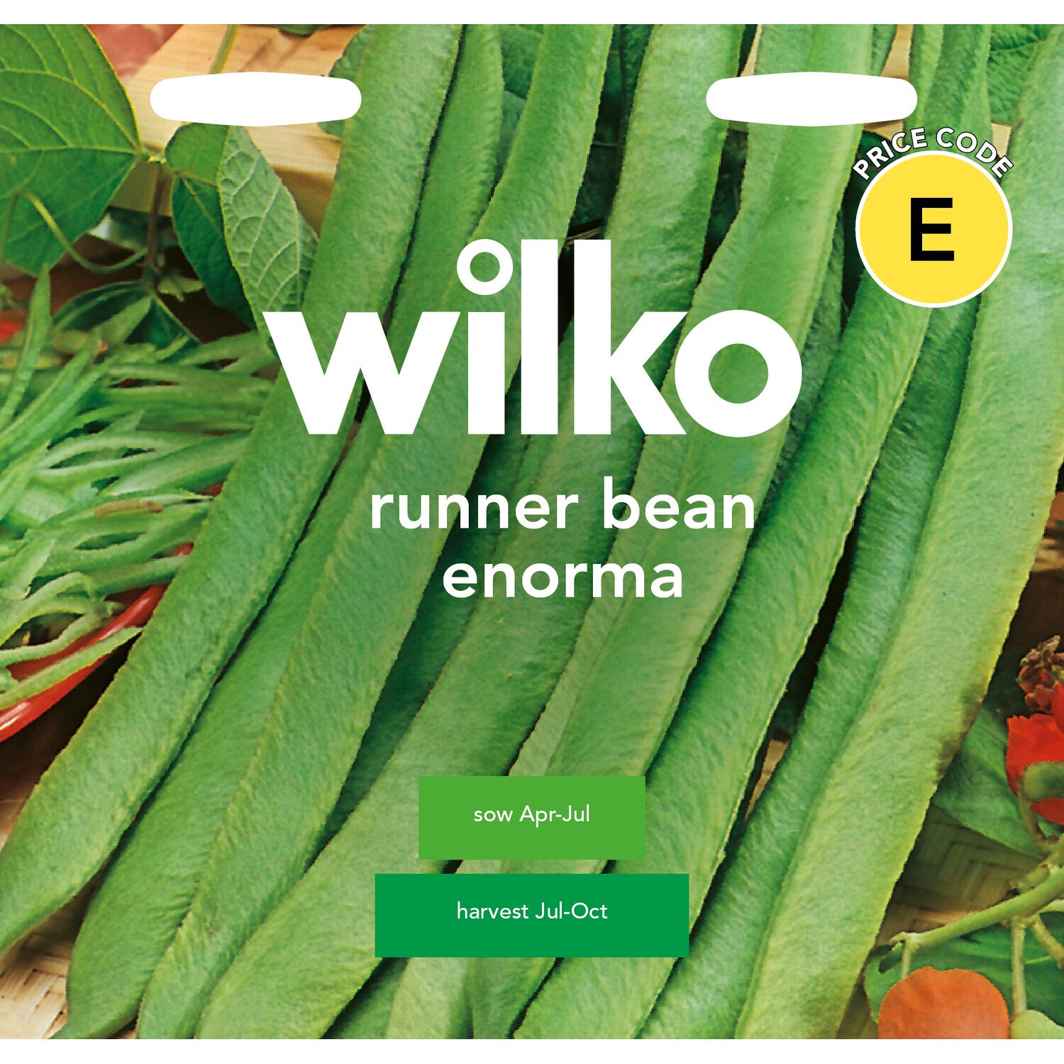 Runner Bean Enorma Seeds Image 1