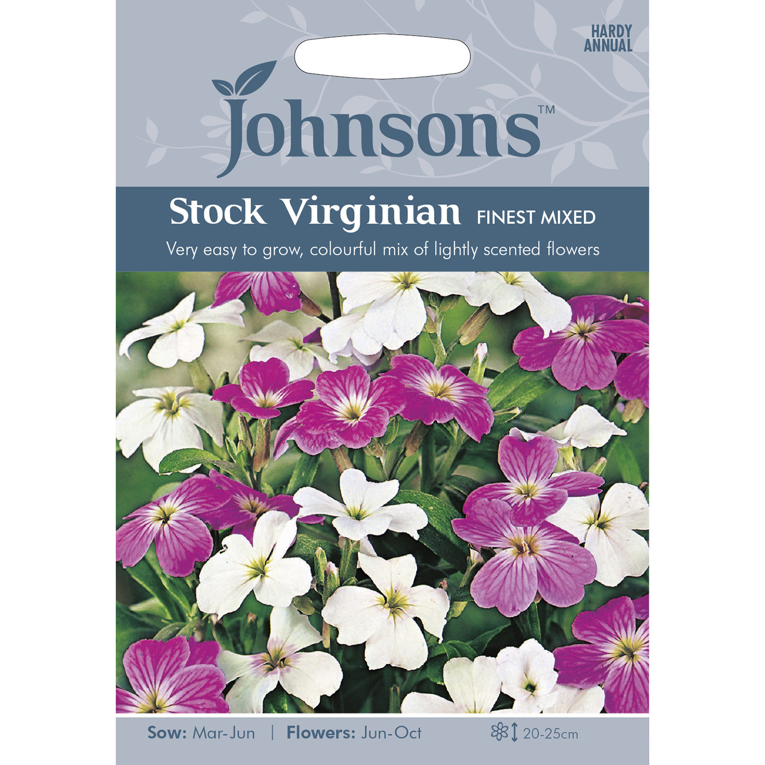 Pack of Finest Mixed Stock Virginian Flower Seeds Image 1