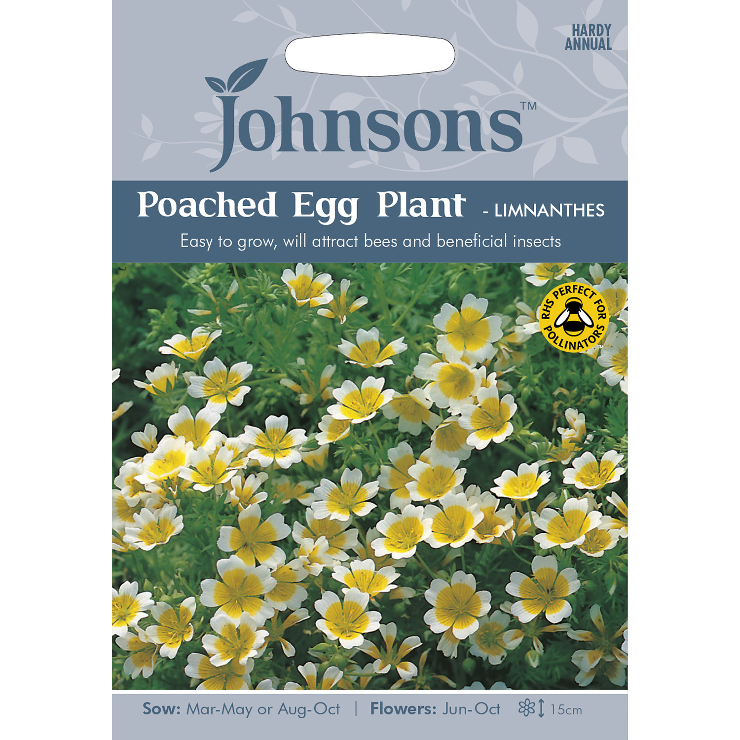 Johnsons Poached Egg Plant Limnanthes Flower Seeds Image 2