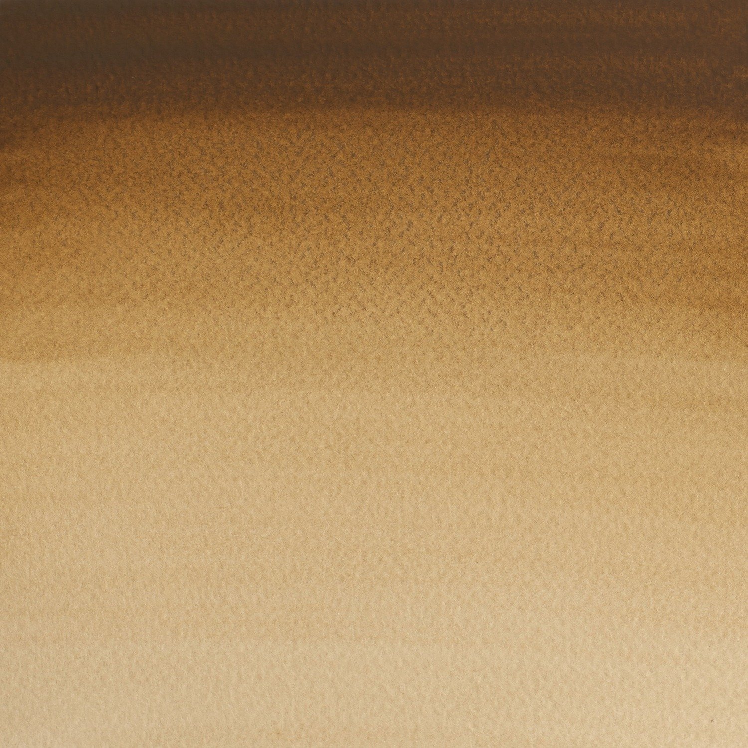 Winsor and Newton Cotman Watercolour Paint 21ml - Raw Umber Image 2