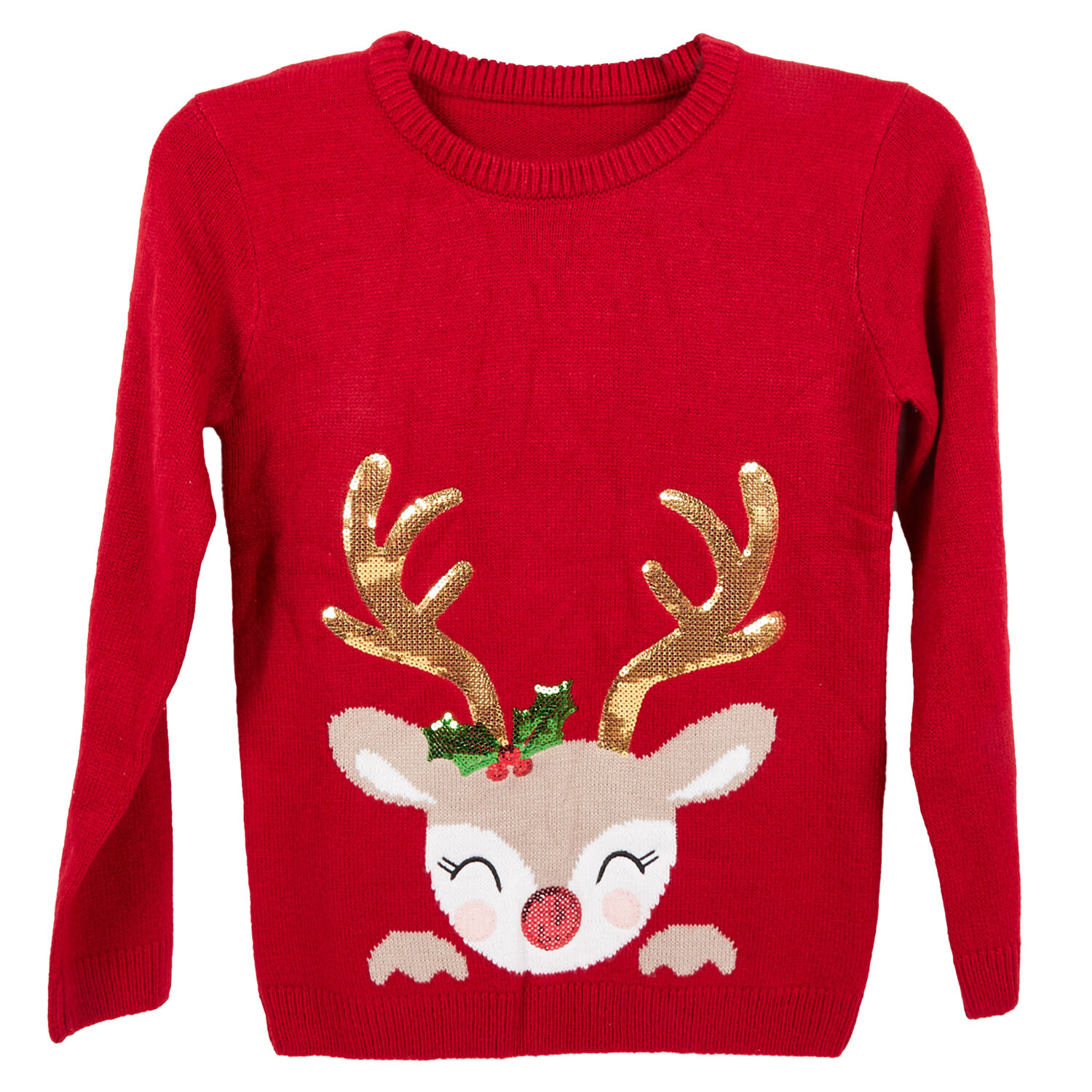 Kids Festive Reindeer Jumper - Red / 4 to 6 years Image 1