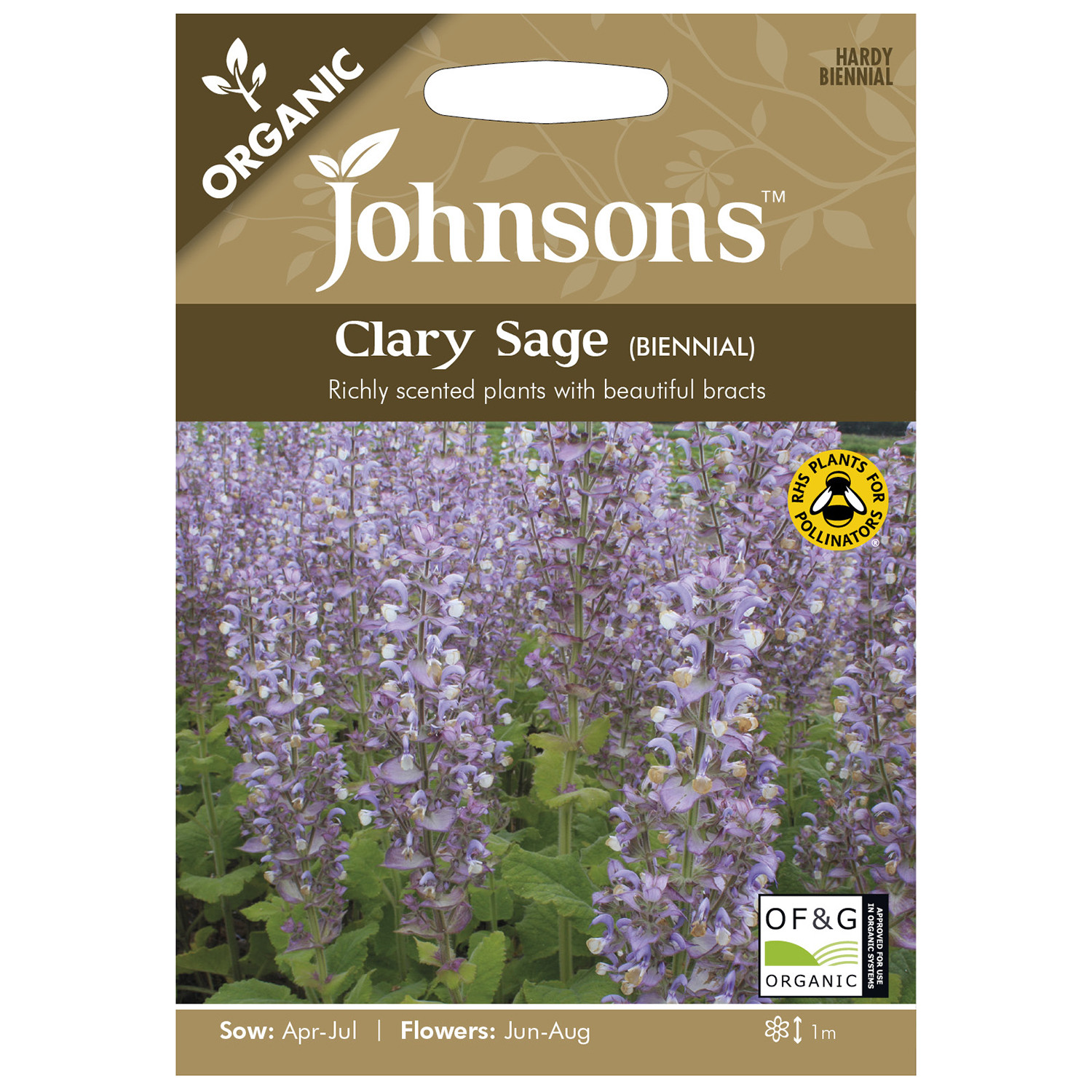 Johnsons Clary Sage Biennial Image 1