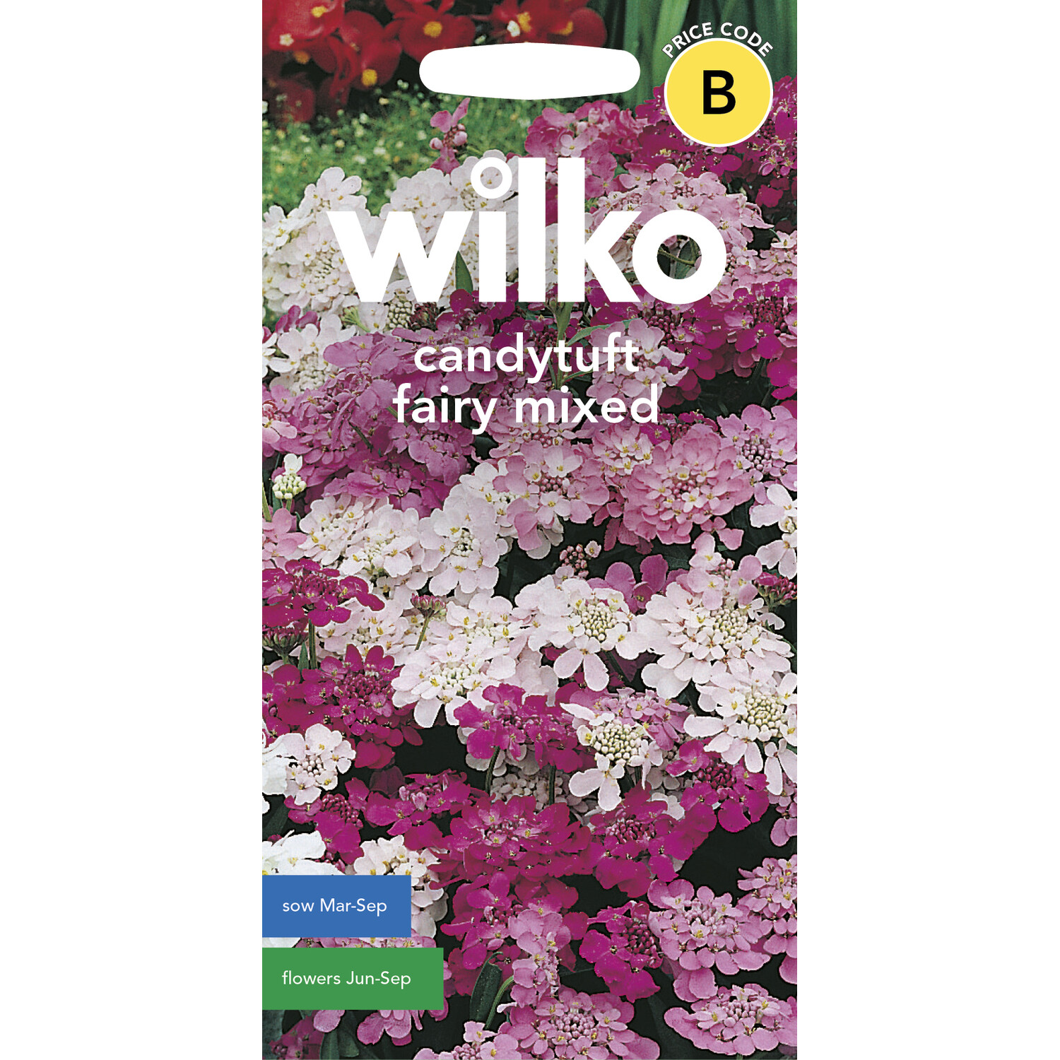 Wilko Mixed Fairy Candytuft Seeds Image 1
