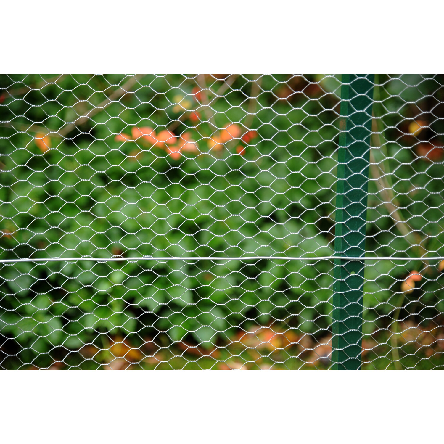 Galvanised Wire Netting - 0.9cm / 50cm Image 2