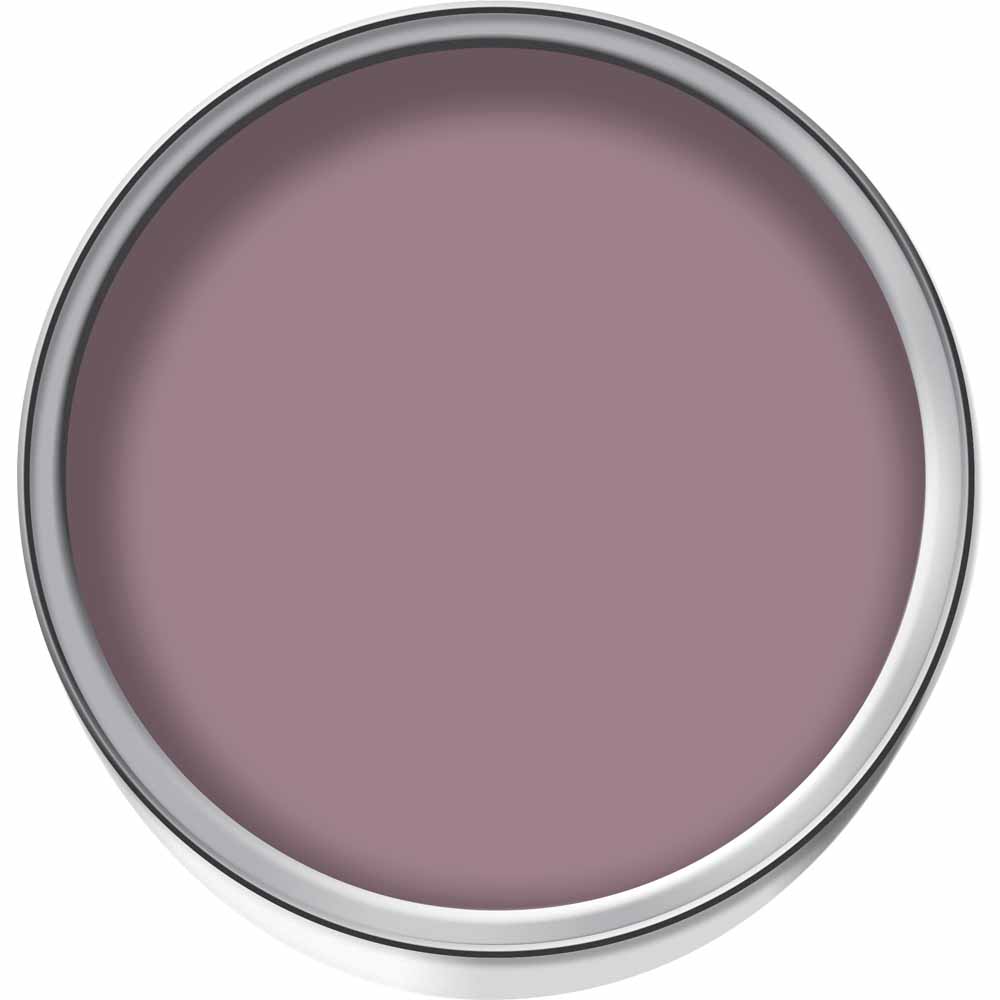 Wilko Tester Pot Wild Orchid Emulsion Paint 75ml Wilko