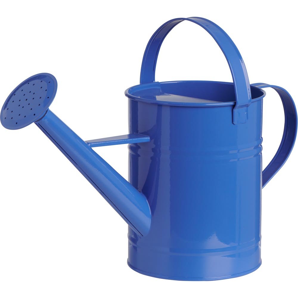 Single Metal Watering Can 1.7L in Assorted styles Image 5