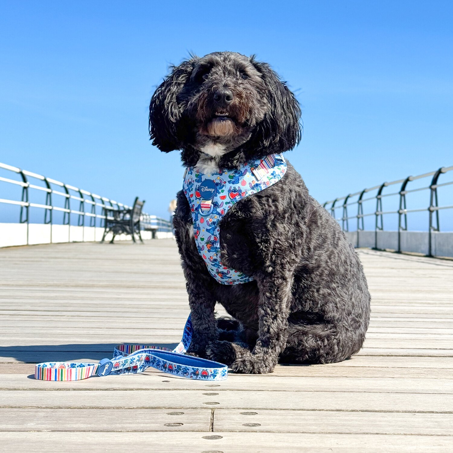 Stitch Fruit Fiesta Adjustable Harness Blue 21cm Image 3