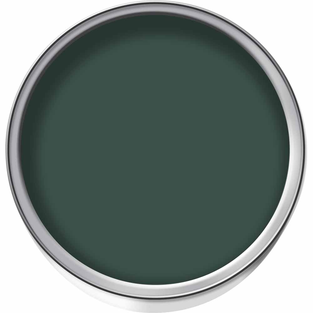 Wilko Dark Ivy Emulsion Paint Tester Pot 75ml Image 2