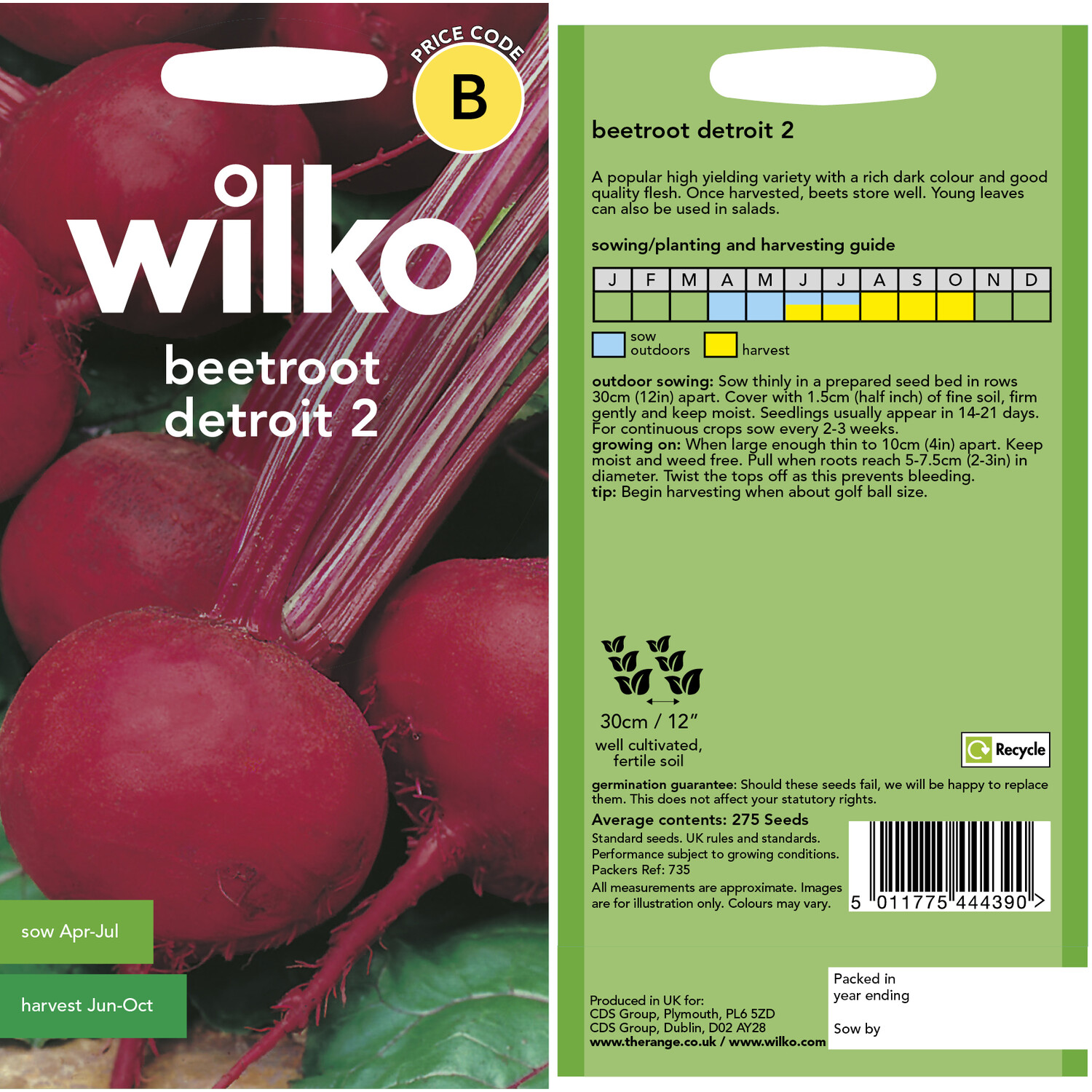 Wilko Beetroot Detroit Seeds Image 3