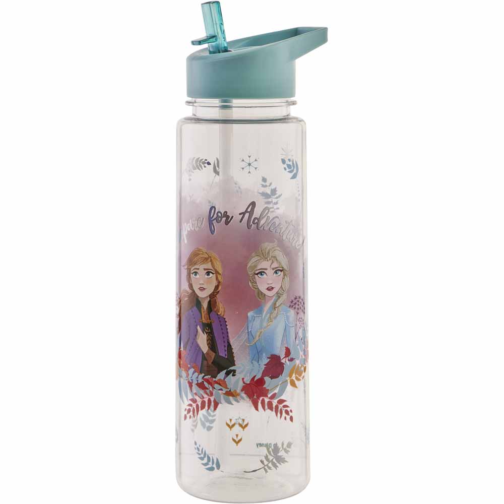 Disney Frozen 2 Water Bottle Wilko