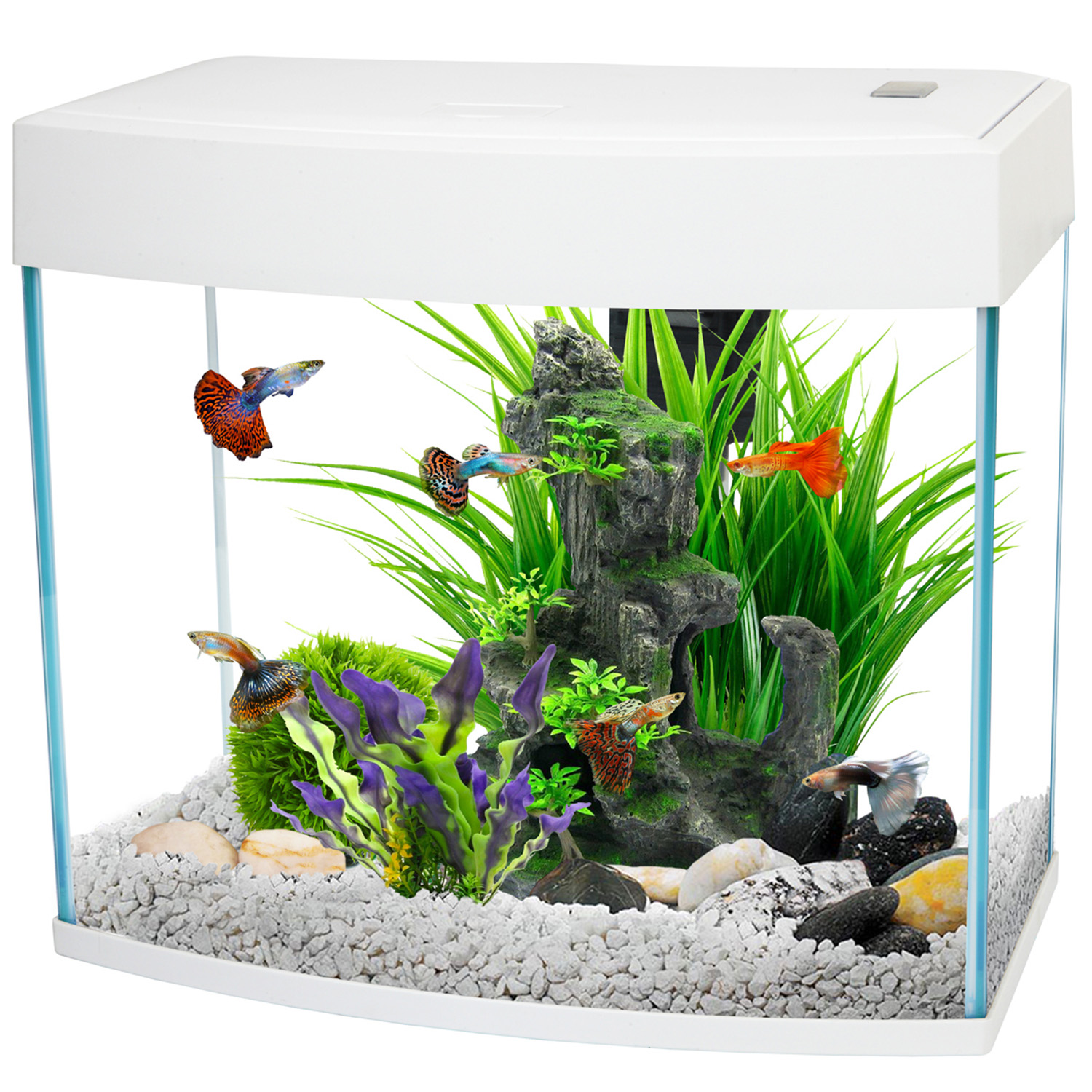 Fish R Fun White LED Starter Fish Tank 14L Image