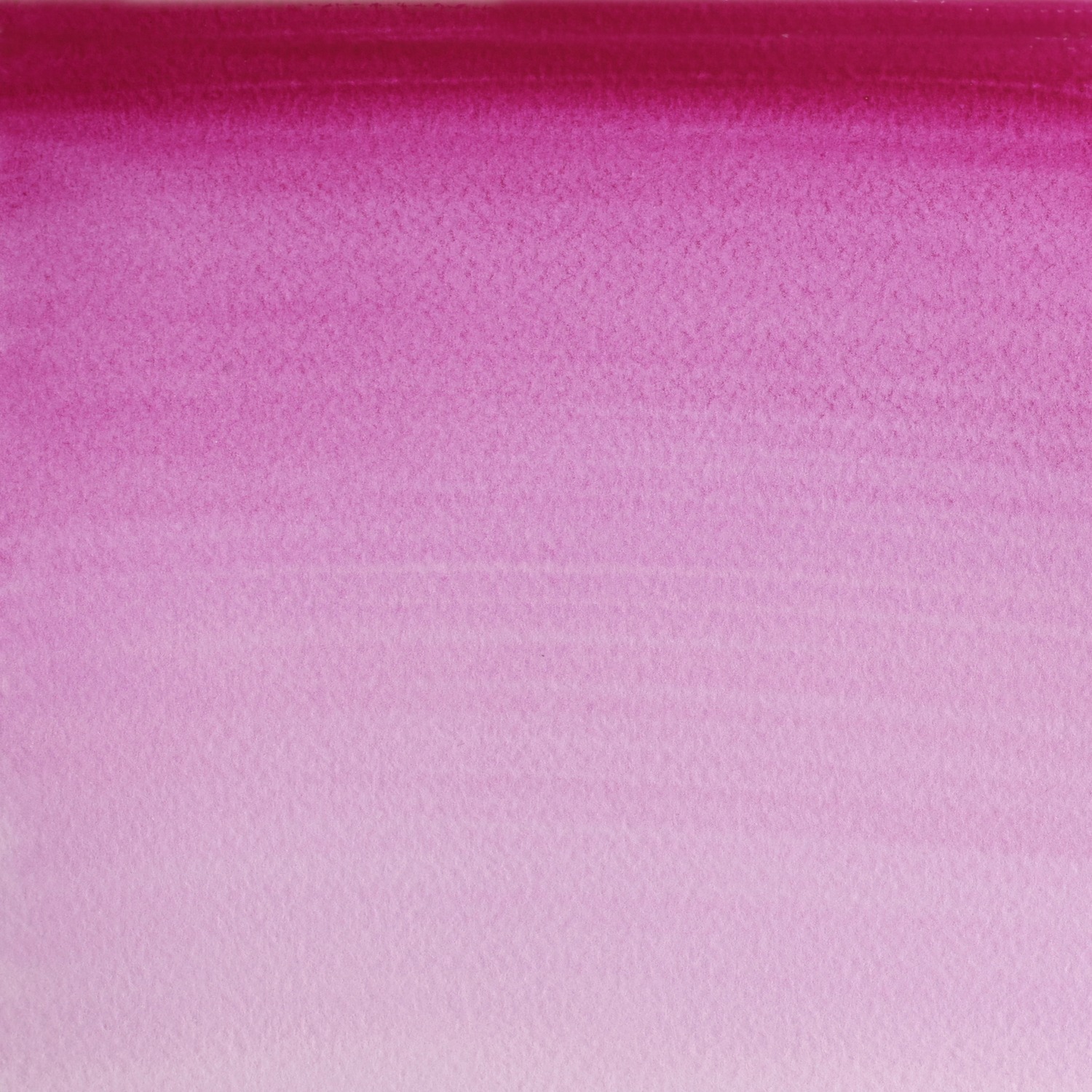 Winsor and Newton Cotman Watercolour Paint - Purple Lake Image 2