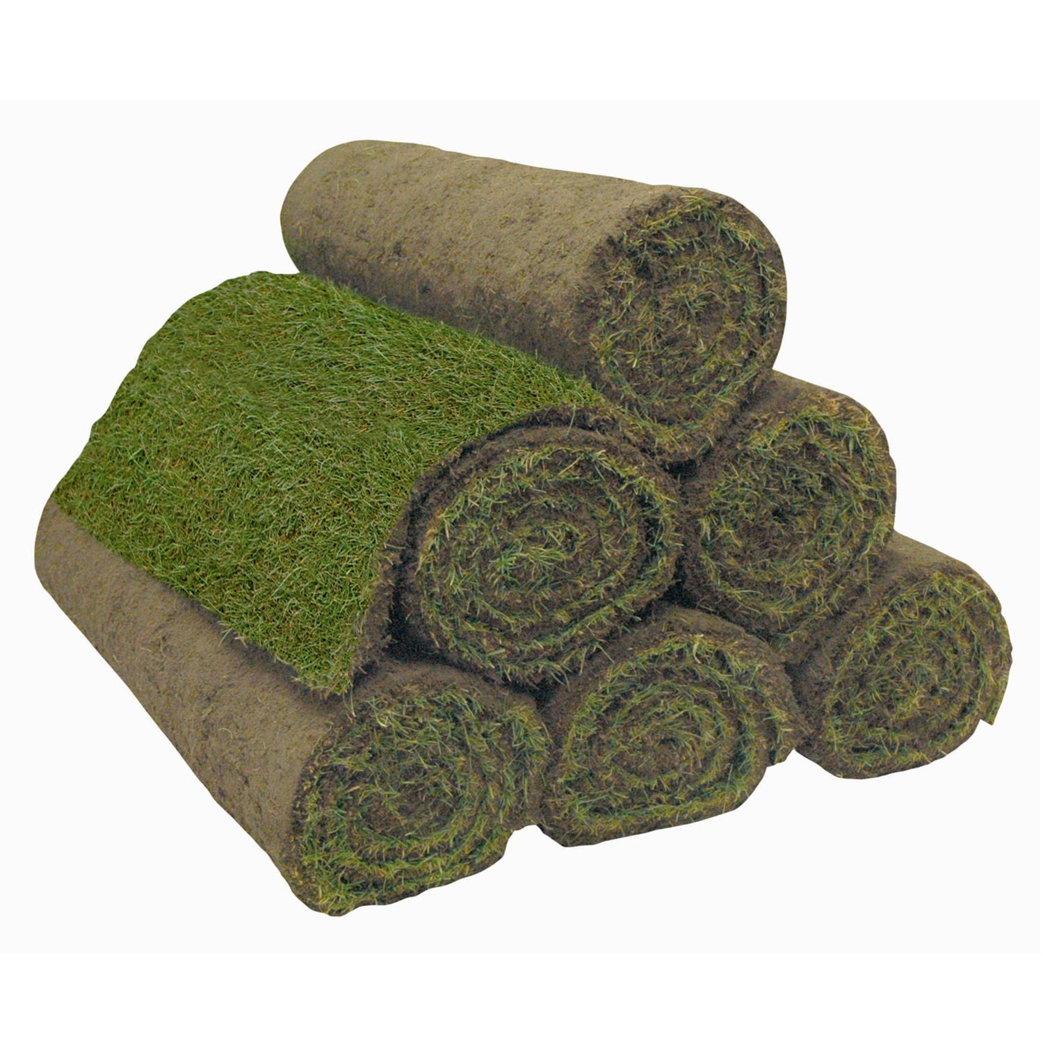 Premium Cultivated Turf 1.64m x 610mm Image