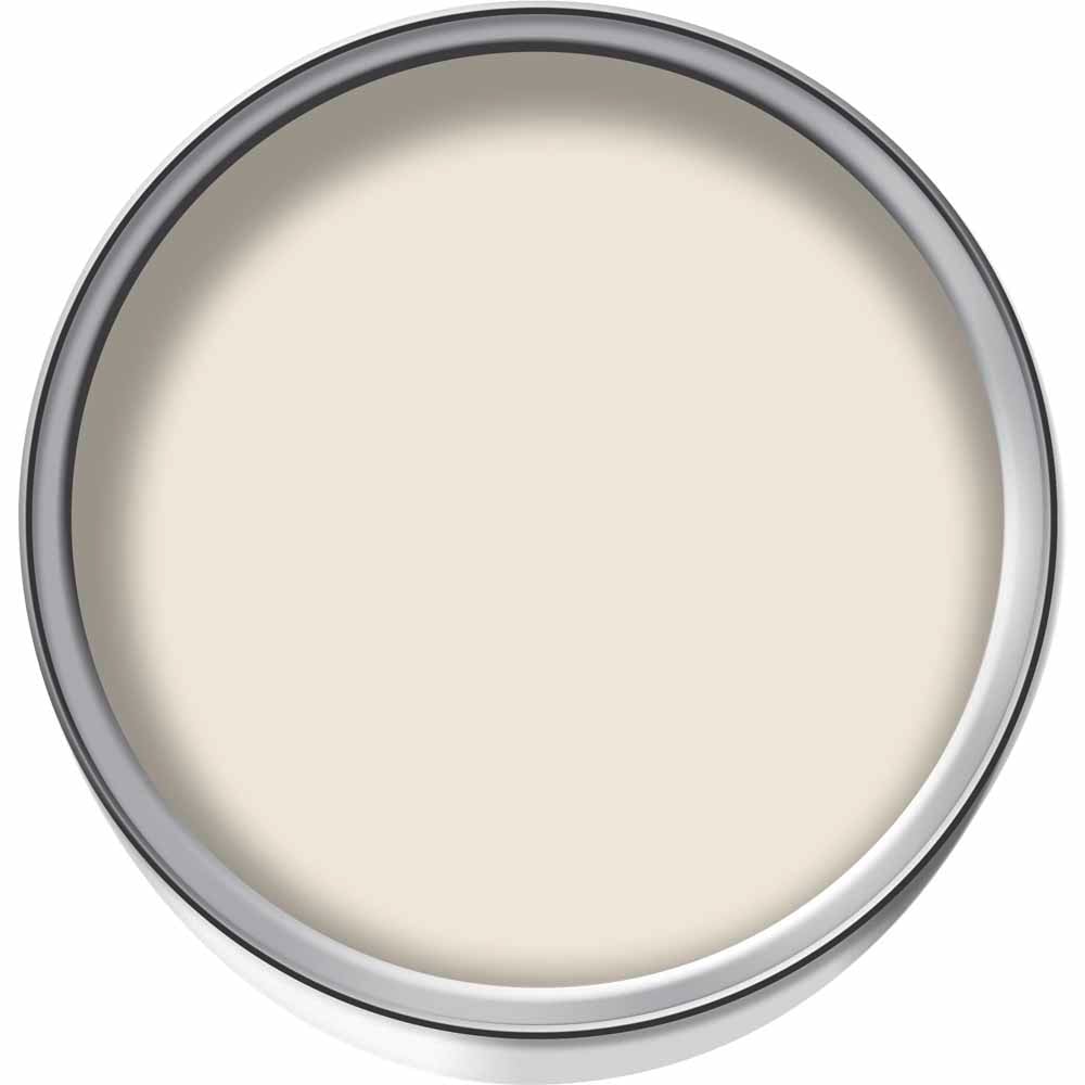 Wilko Magnolia Smooth Masonry Paint 5L Image 3