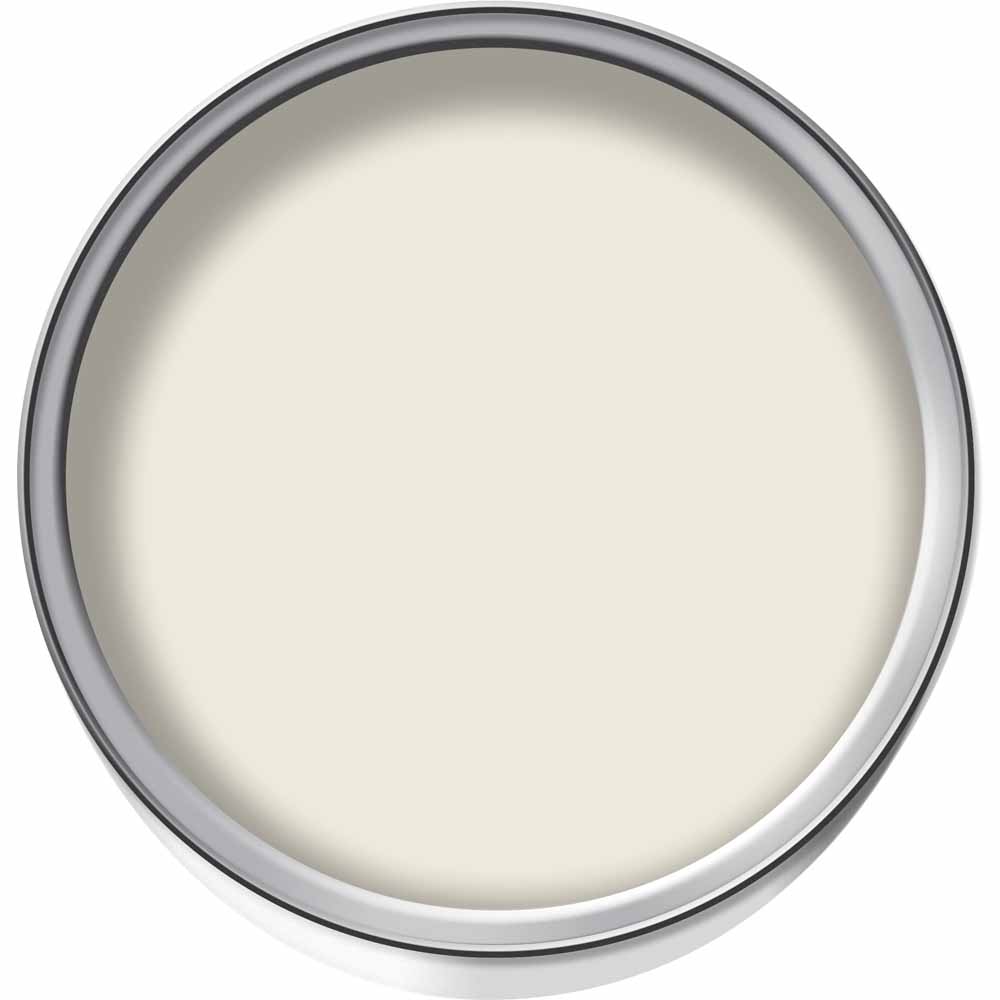 Wilko Exterior Wall Magnolia Textured Masonry Paint 5L Image 2