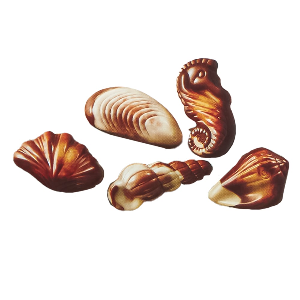 Guylian The Original Seashells 22 Chocolates with Hazelnut Praliné Filling 250g Image 2