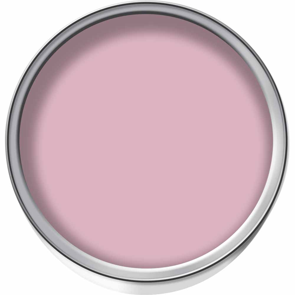 Wilko Tester Pot Candy Cane Emulsion Paint 75ml Image 2