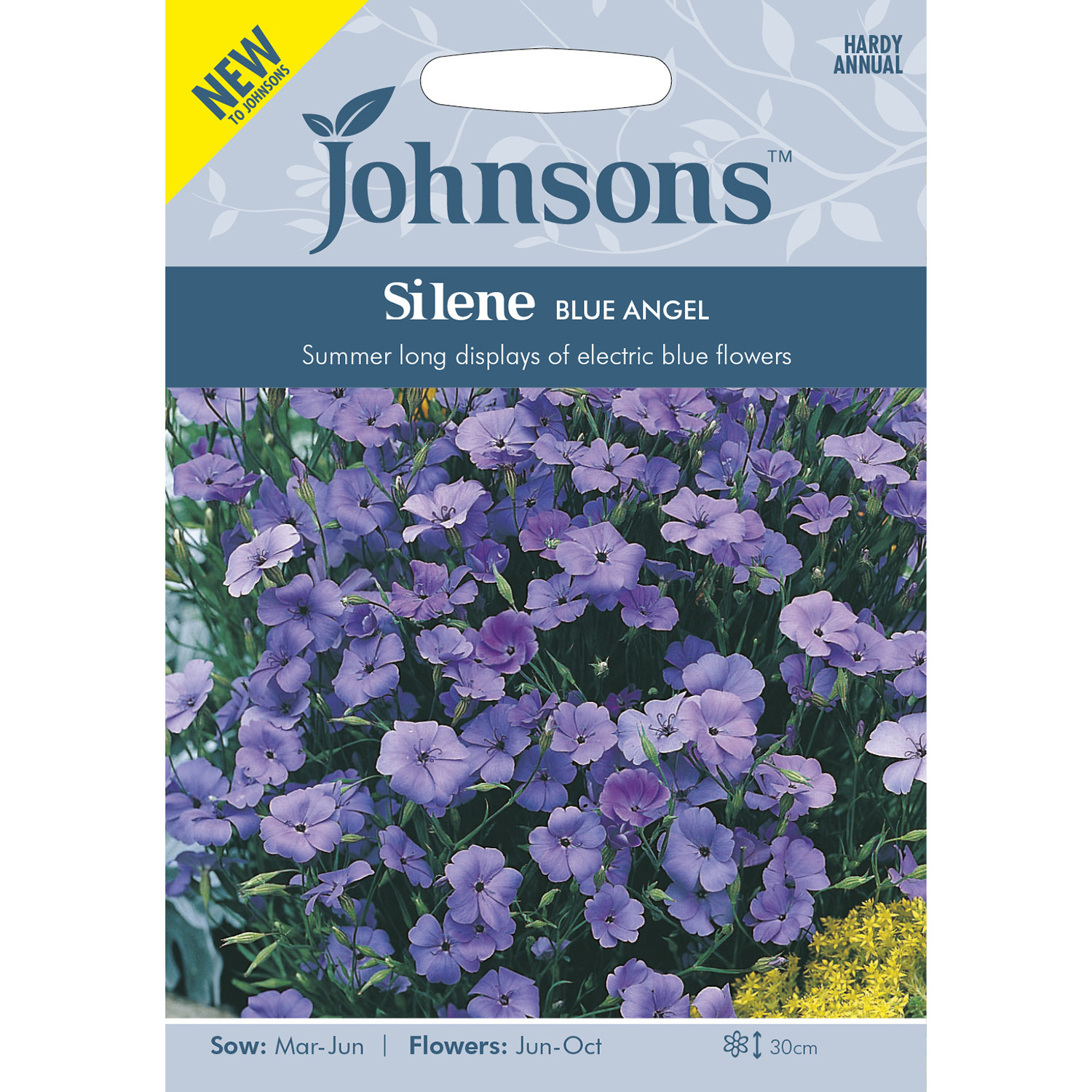Johnsons Silene Blue Angel Flower Seeds Image 2