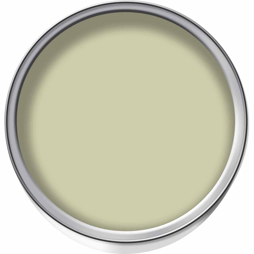 Wilko Pastel Green Emulsion Paint Tester Pot 75ml Image 2