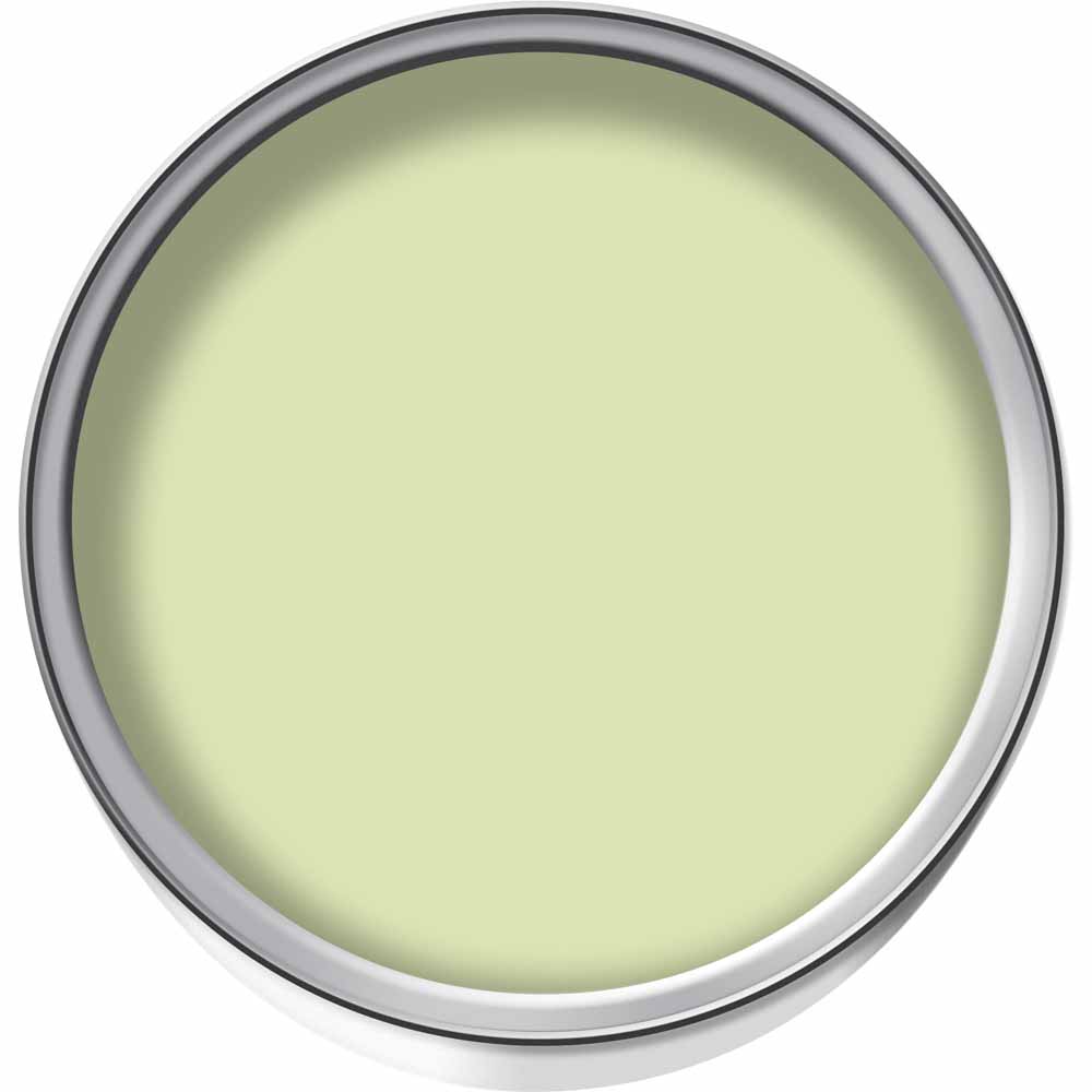 Wilko Tester Pot Lime Sorbet Emulsion Paint 75ml Image 2