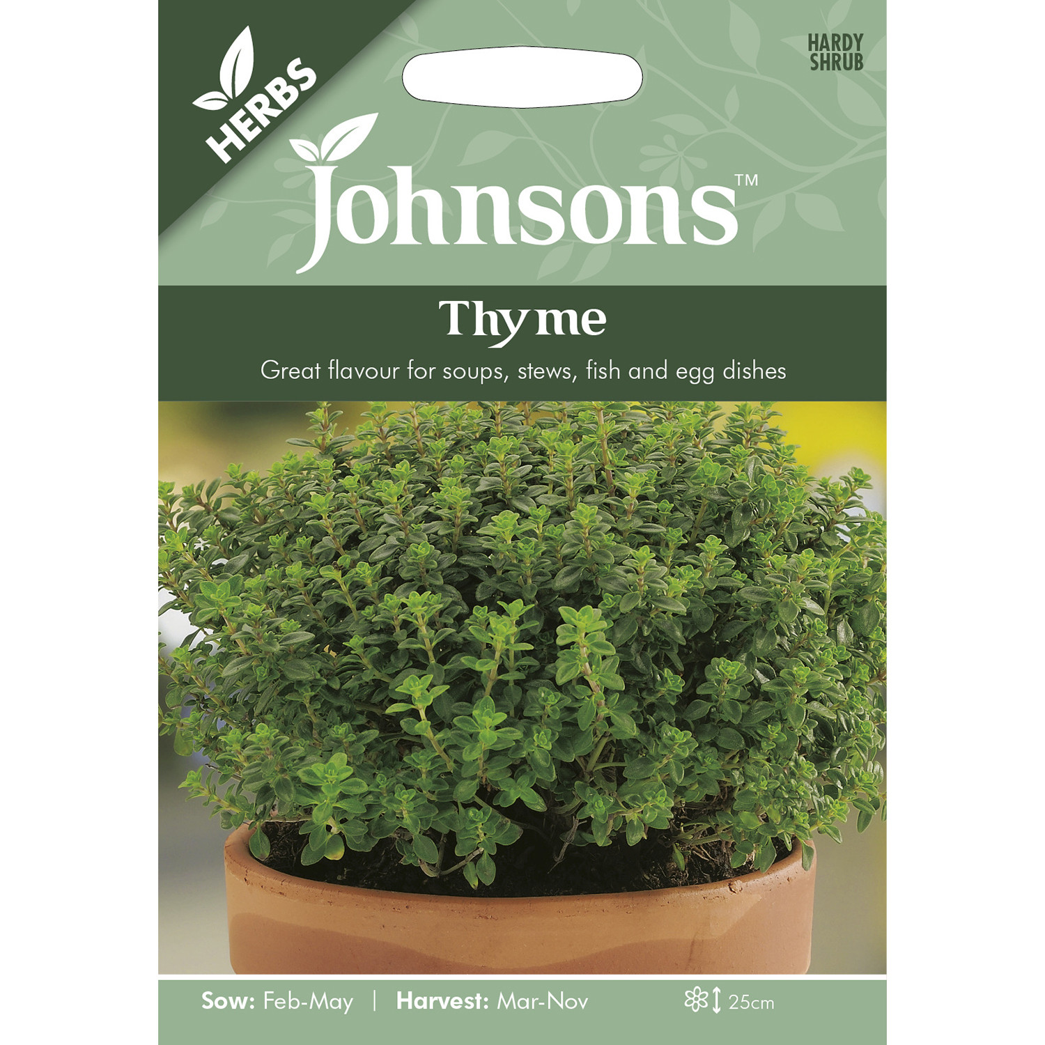 Johnsons Thyme Herb Seeds Image 2