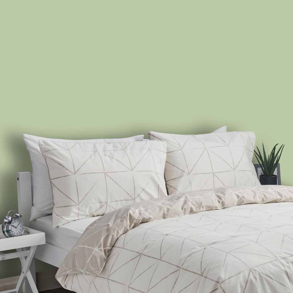 Wilko Walls & Ceilings Pastel Green Silk Emulsion Paint 2.5L Wilko