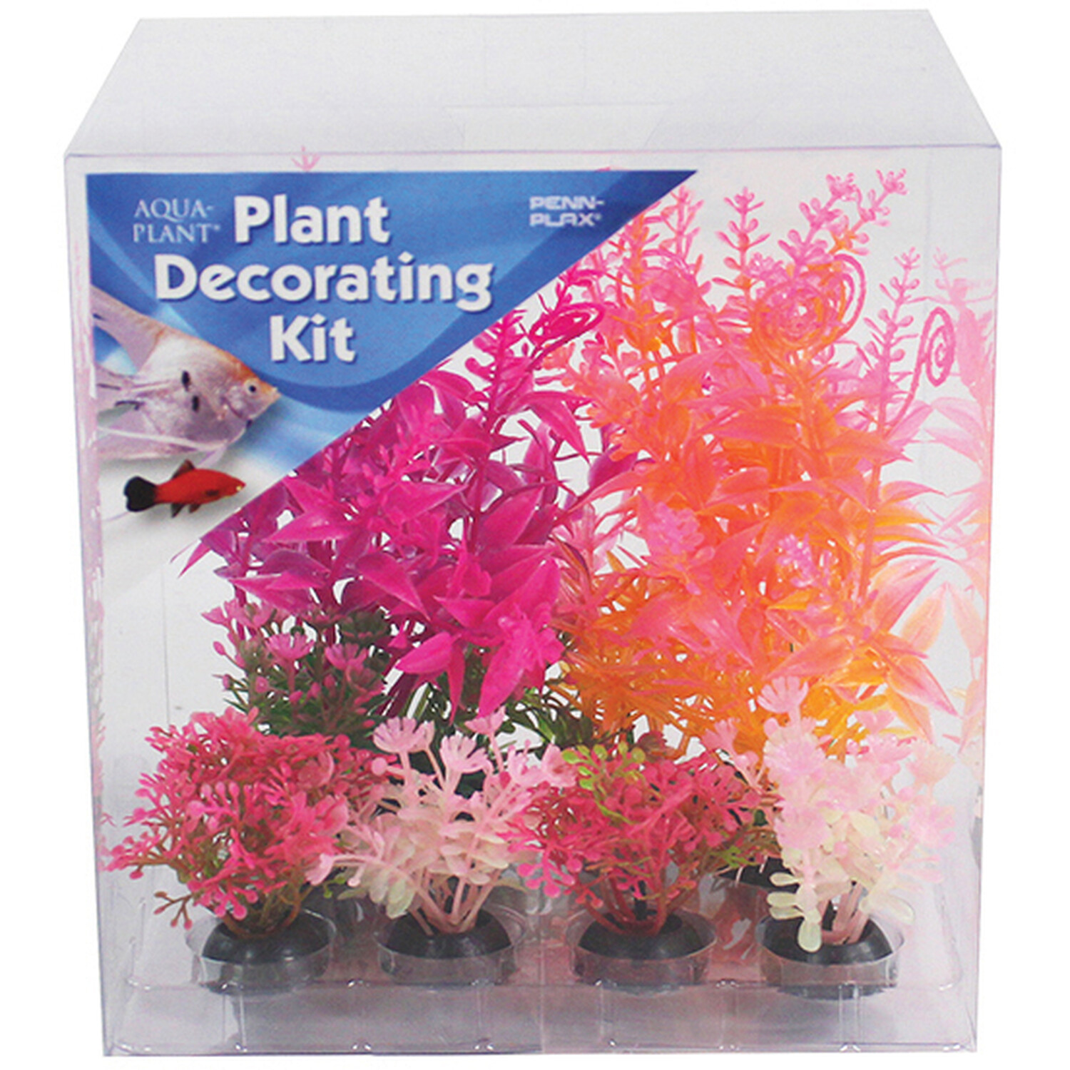 6 Piece Aqua Plant Decorating Kit Brights Image 1