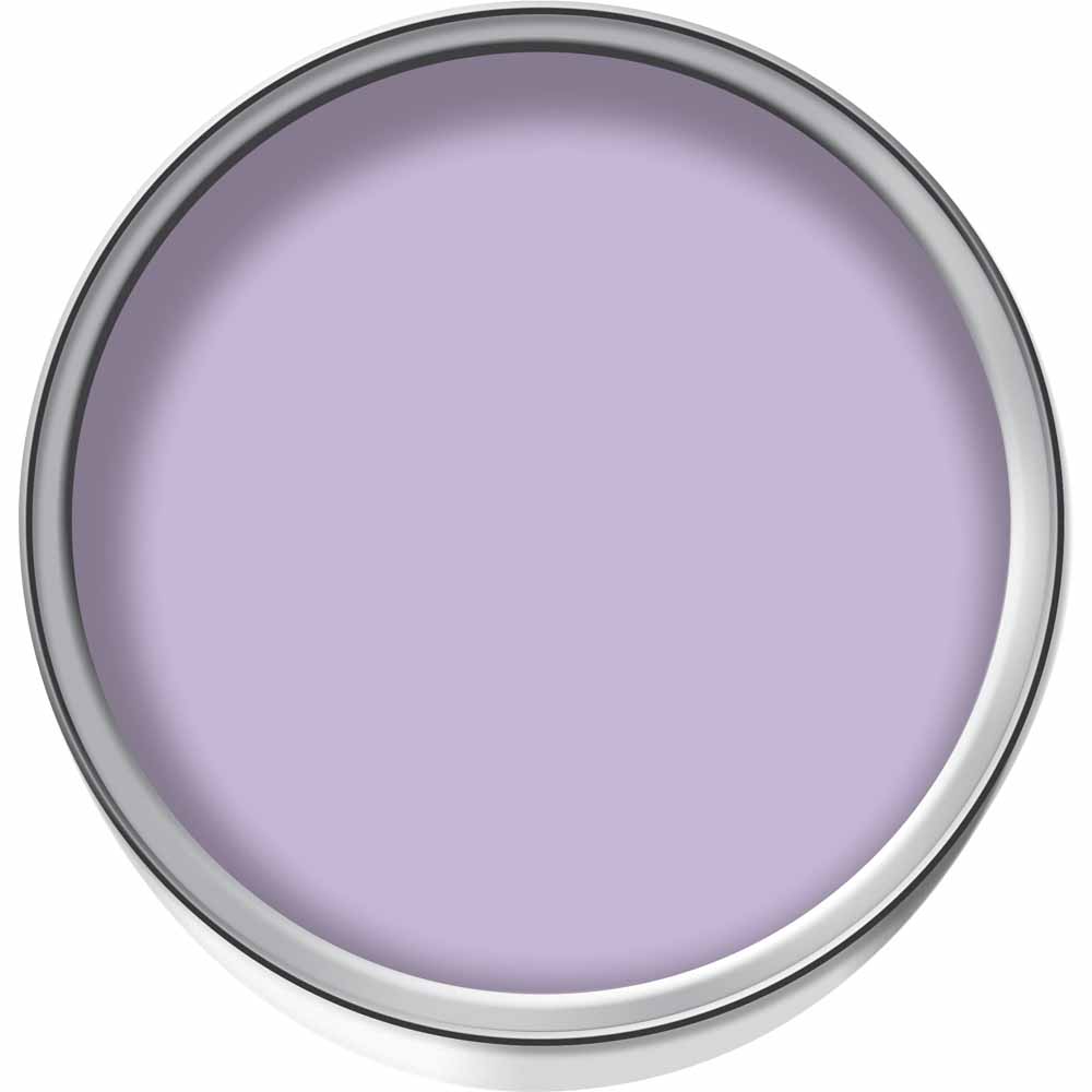 Wilko Garden Colour Violet Mist Exterior Paint 1L Image 2
