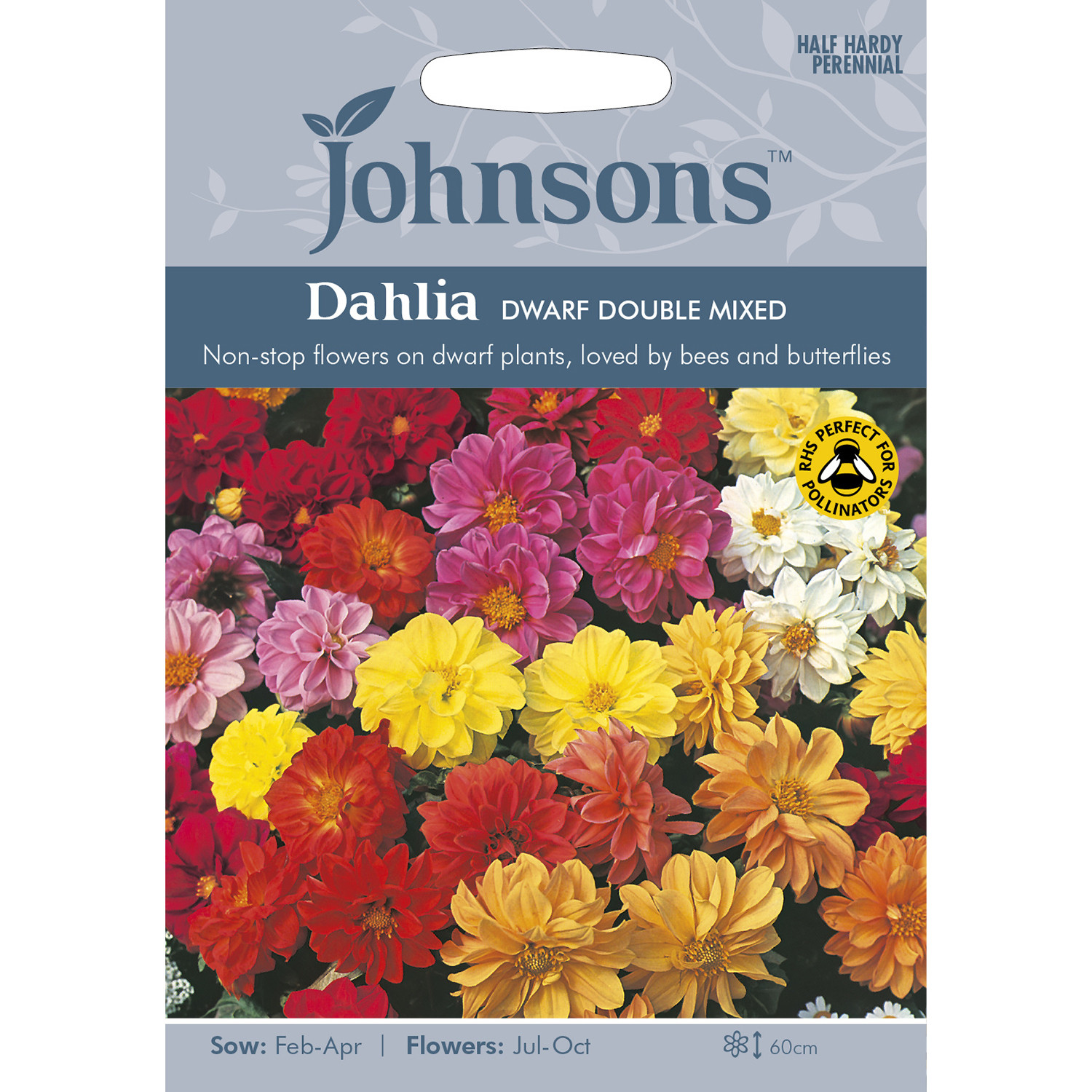 Johnsons Dahlia Dwarf Double Mixed Flower Seeds Image 2