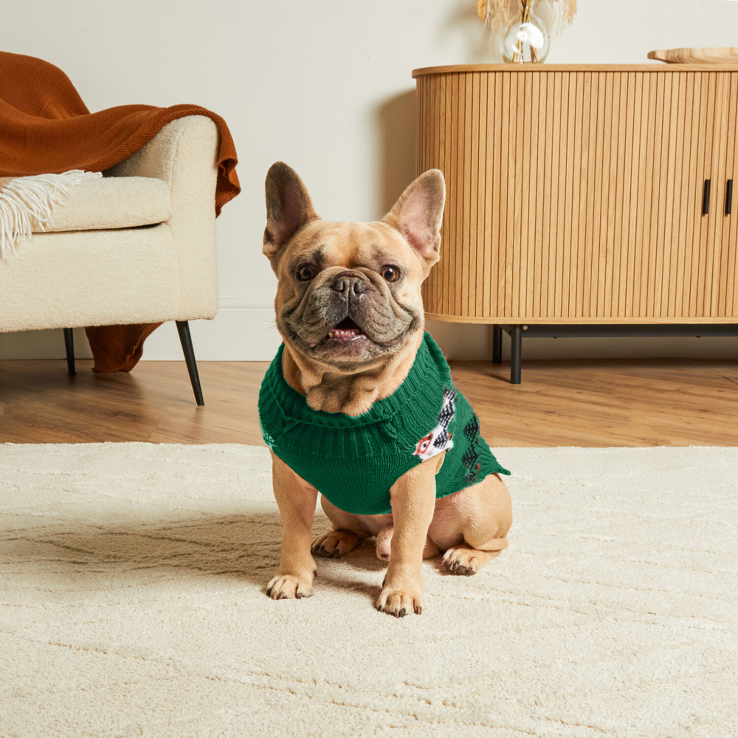 Woodland Dog Jumper Red 55cm Image 4