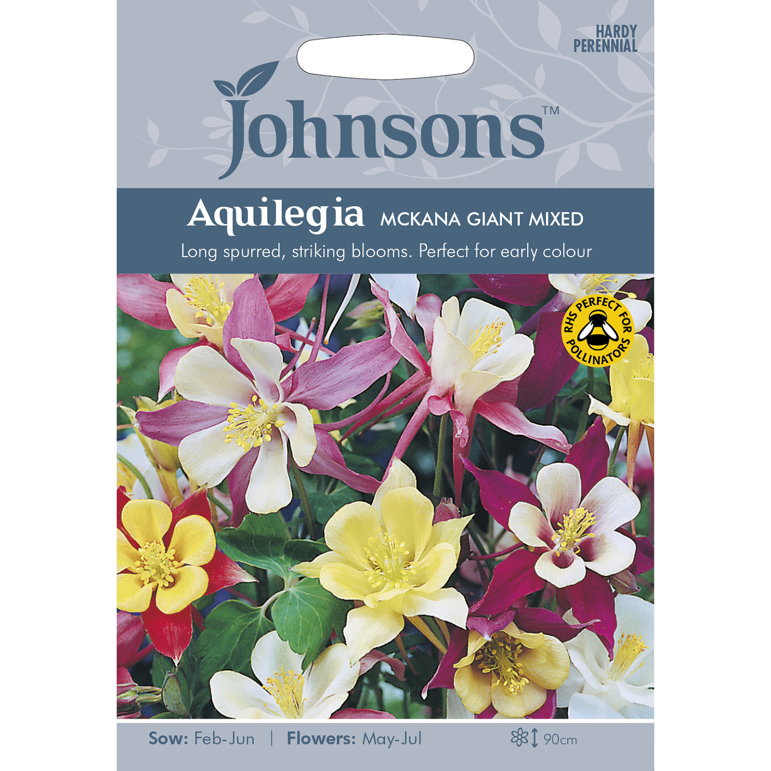 Johnsons Aquilegia Mckana Giant Mixed Flower Seeds Image 2