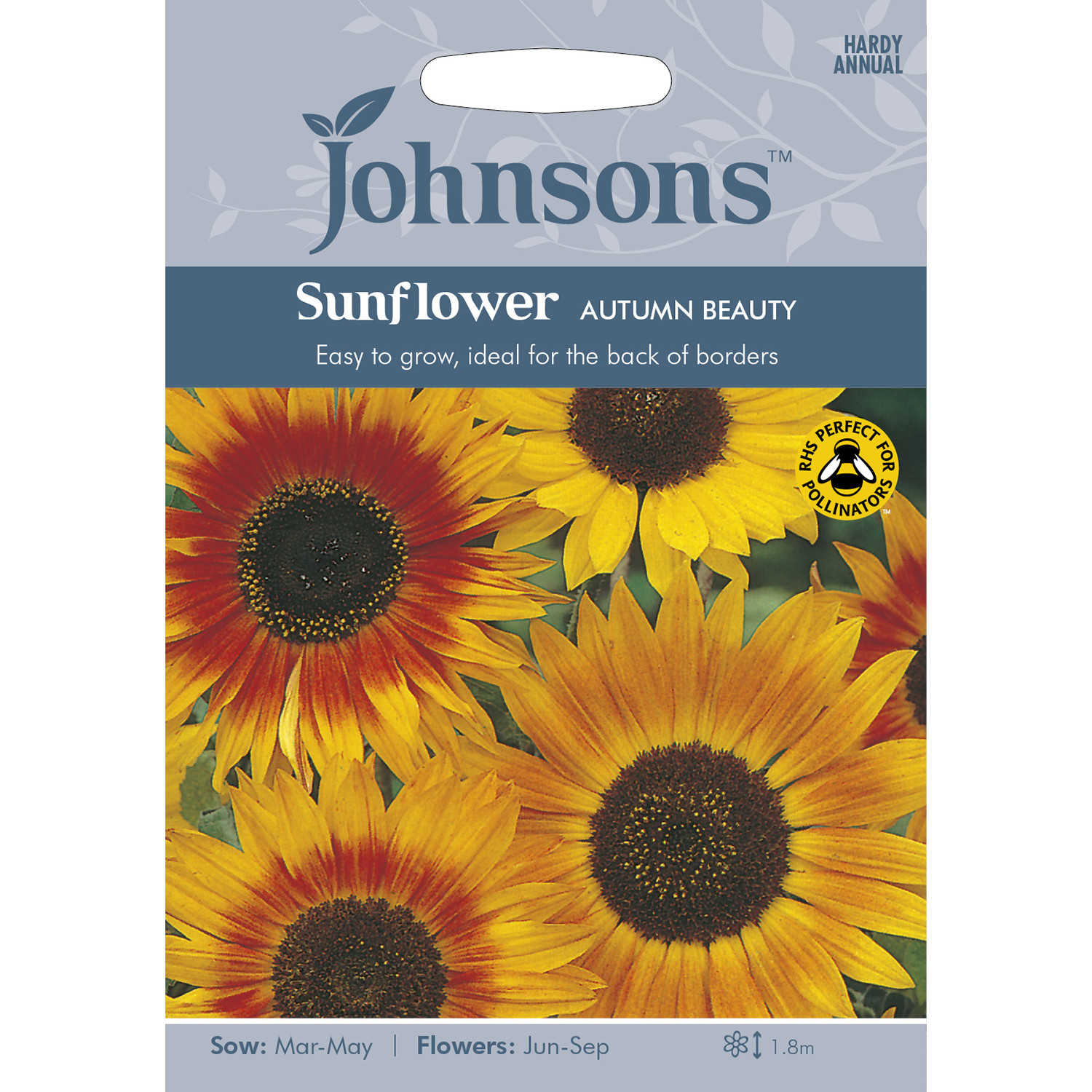 Pack of Autumn Beauty Sunflower Seeds Image 1