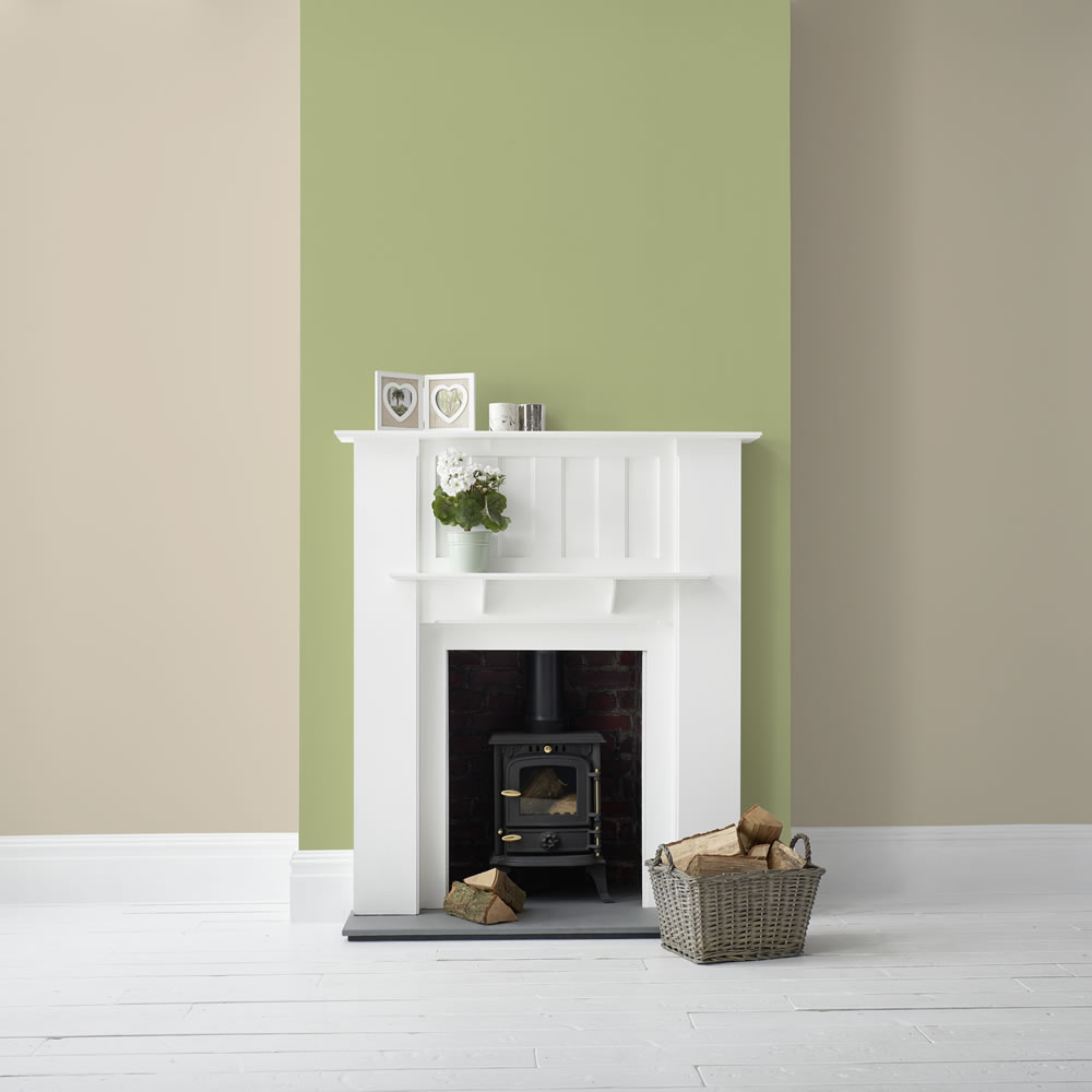 Wilko Organic Green Matt Emulsion Paint 2.5L Wilko