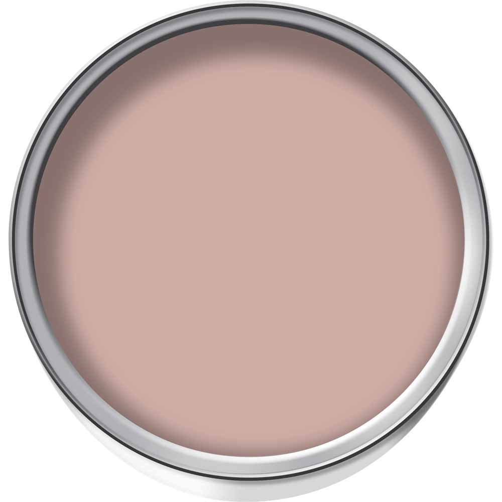 Wilko Garden Colour Pink Peony Exterior Paint 1L Image 2