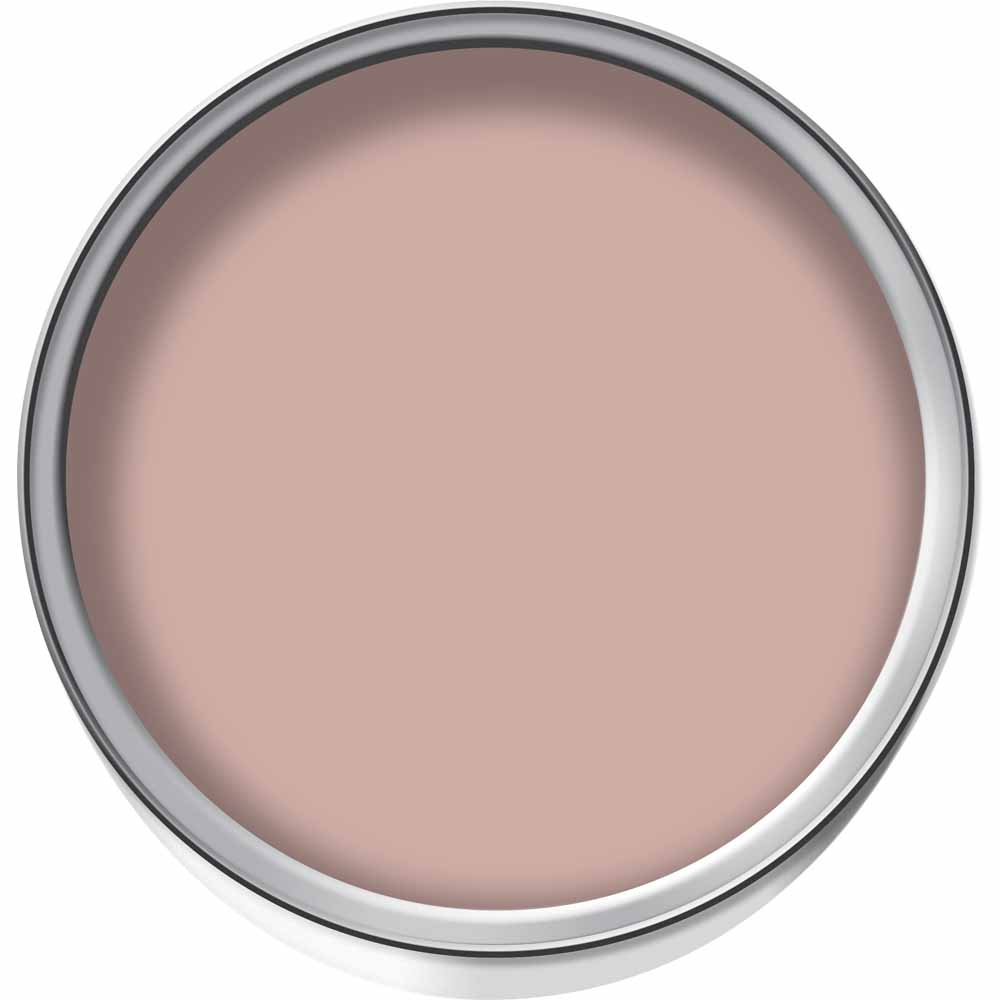 Wilko Garden Colour Pink Peony Exterior Paint 1L Wilko