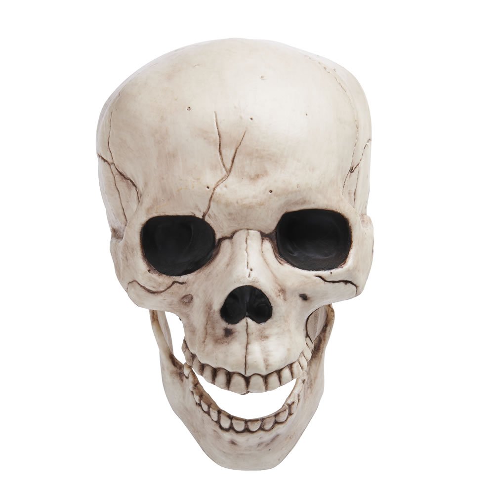 Wilko Skull Ornament Image 3