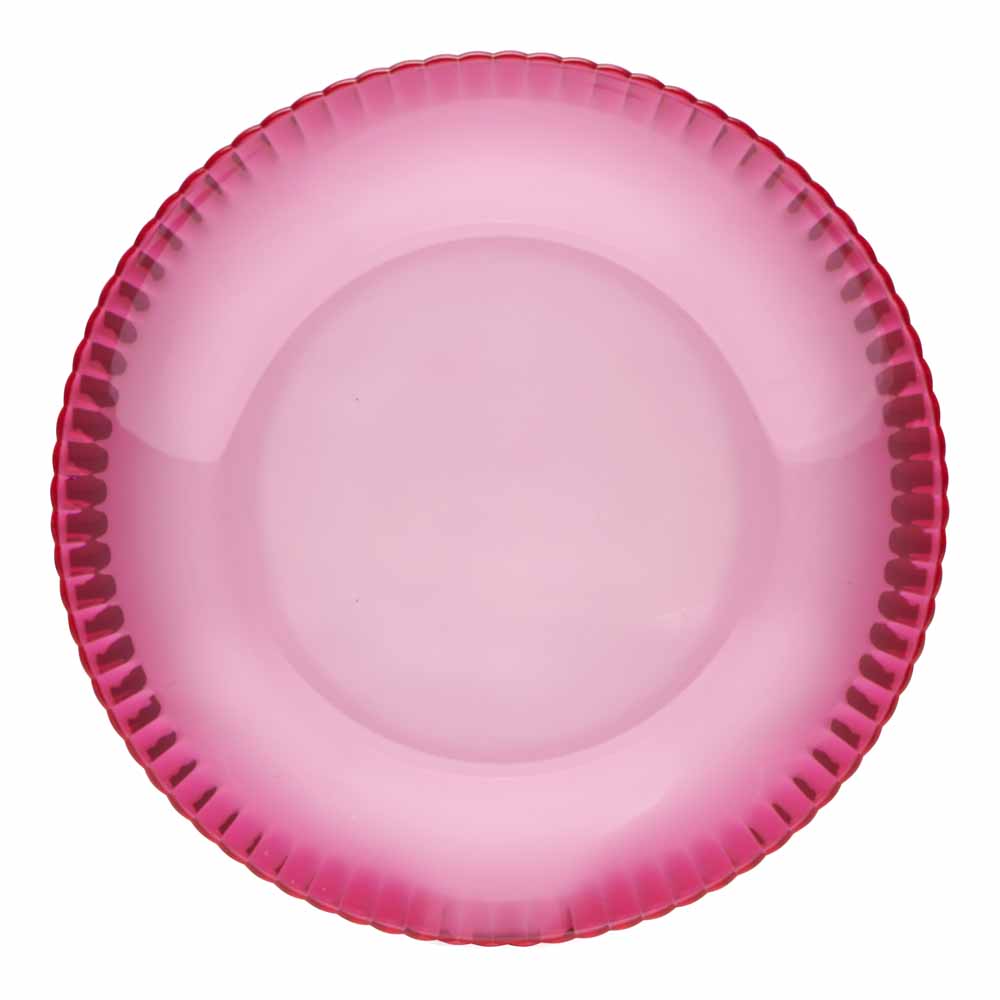 Wilko Discovery Plastic Plate Image