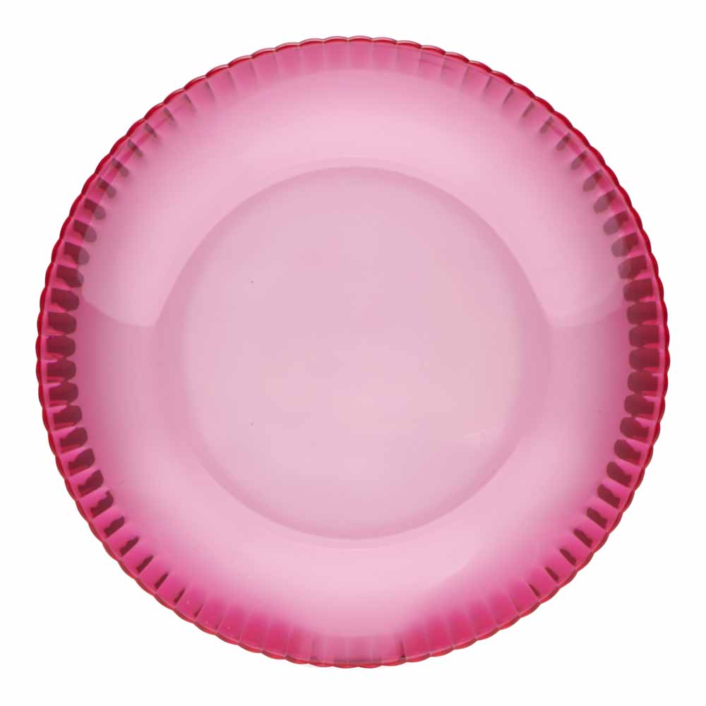 Wilko Discovery Plastic Plate Wilko
